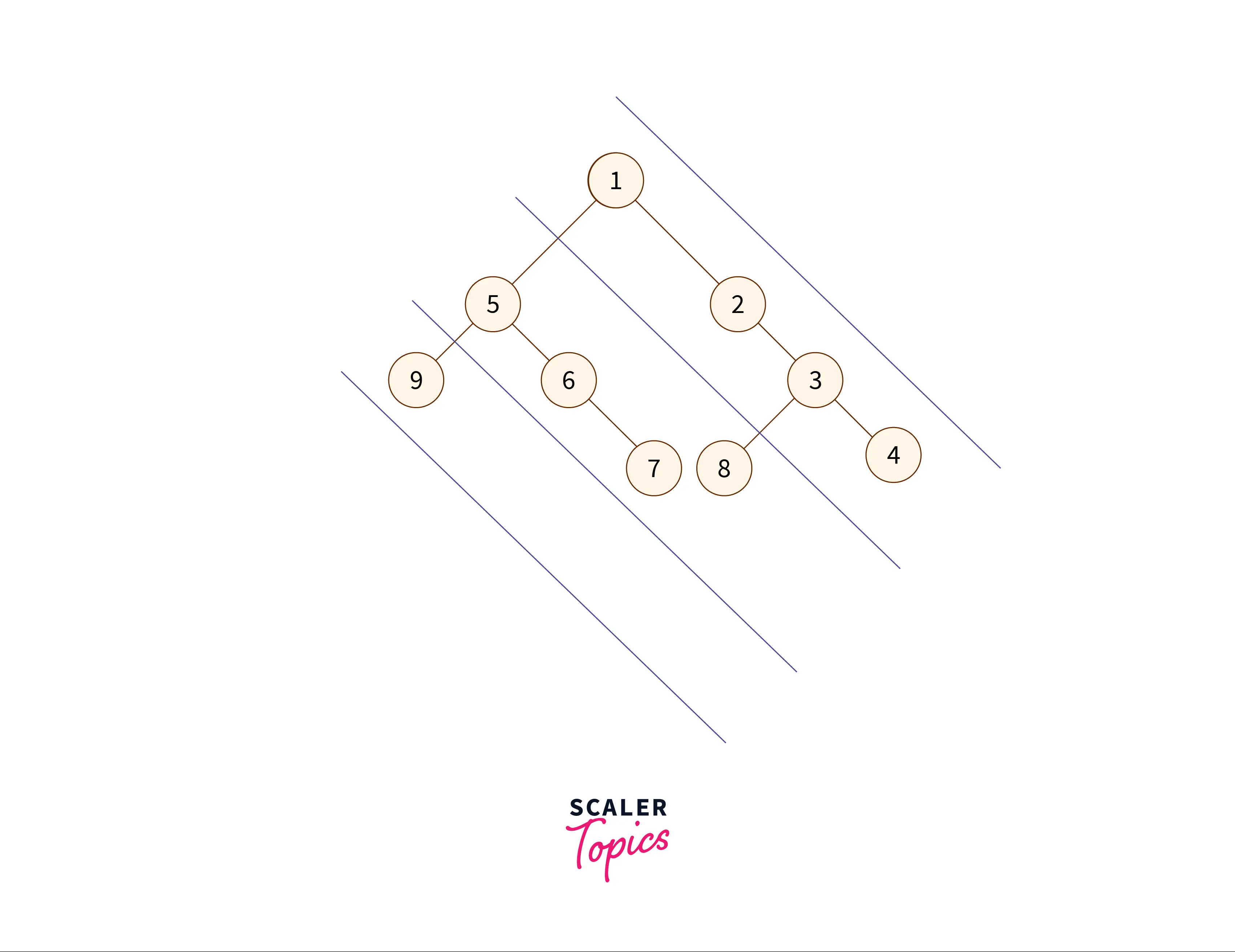 diagonal-element-of-first-binary-tree