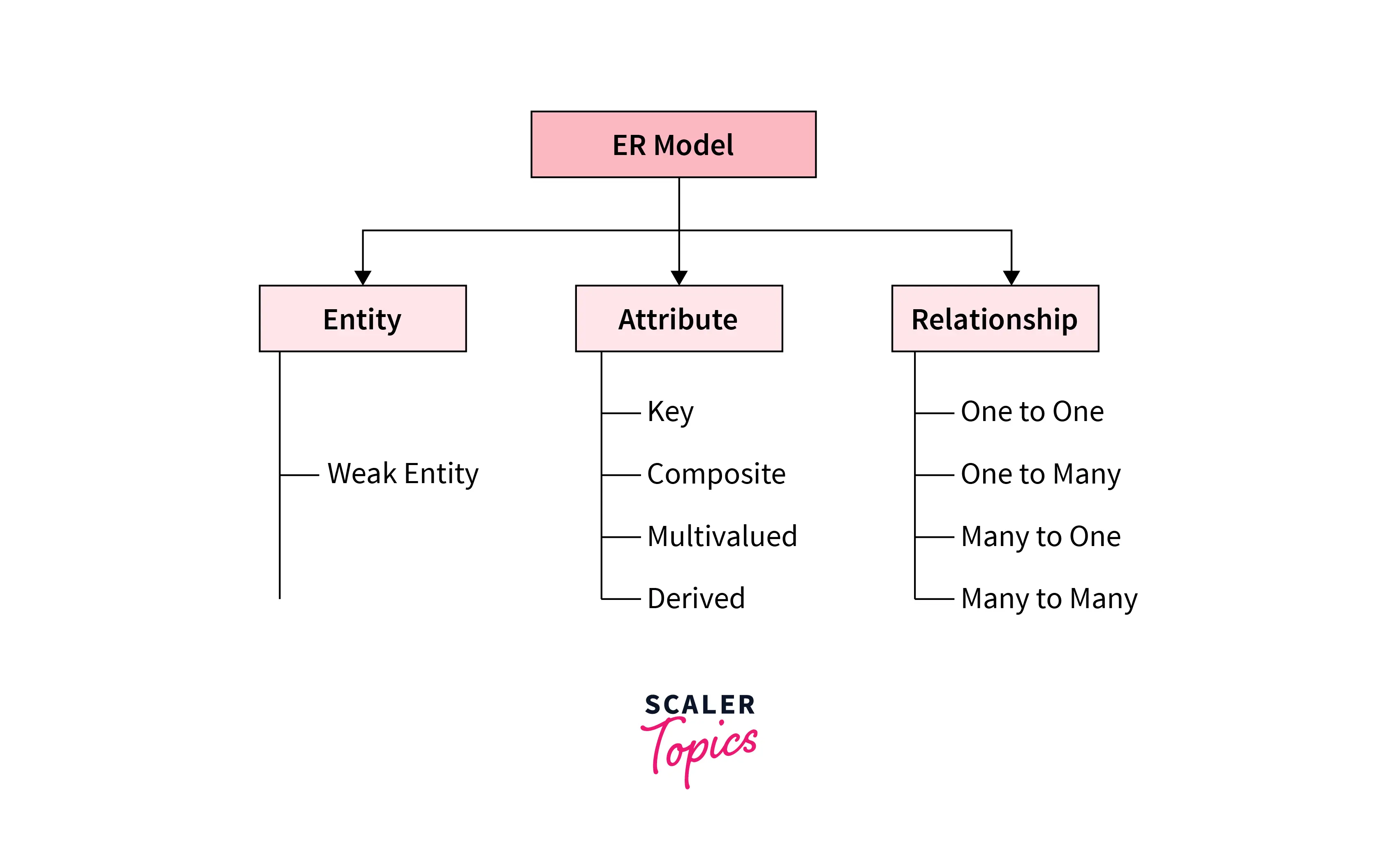 different components of the entity-relationship model
