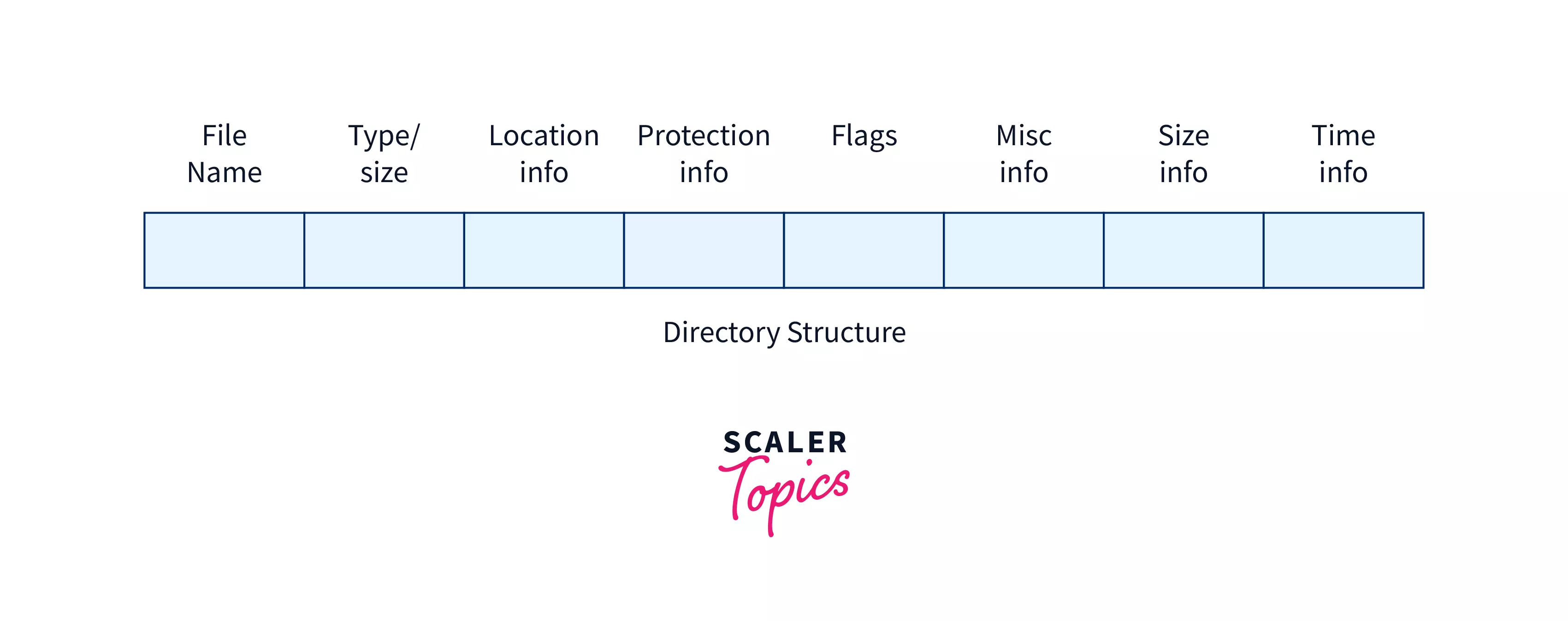 Directory Structure in OS- Scaler Topics