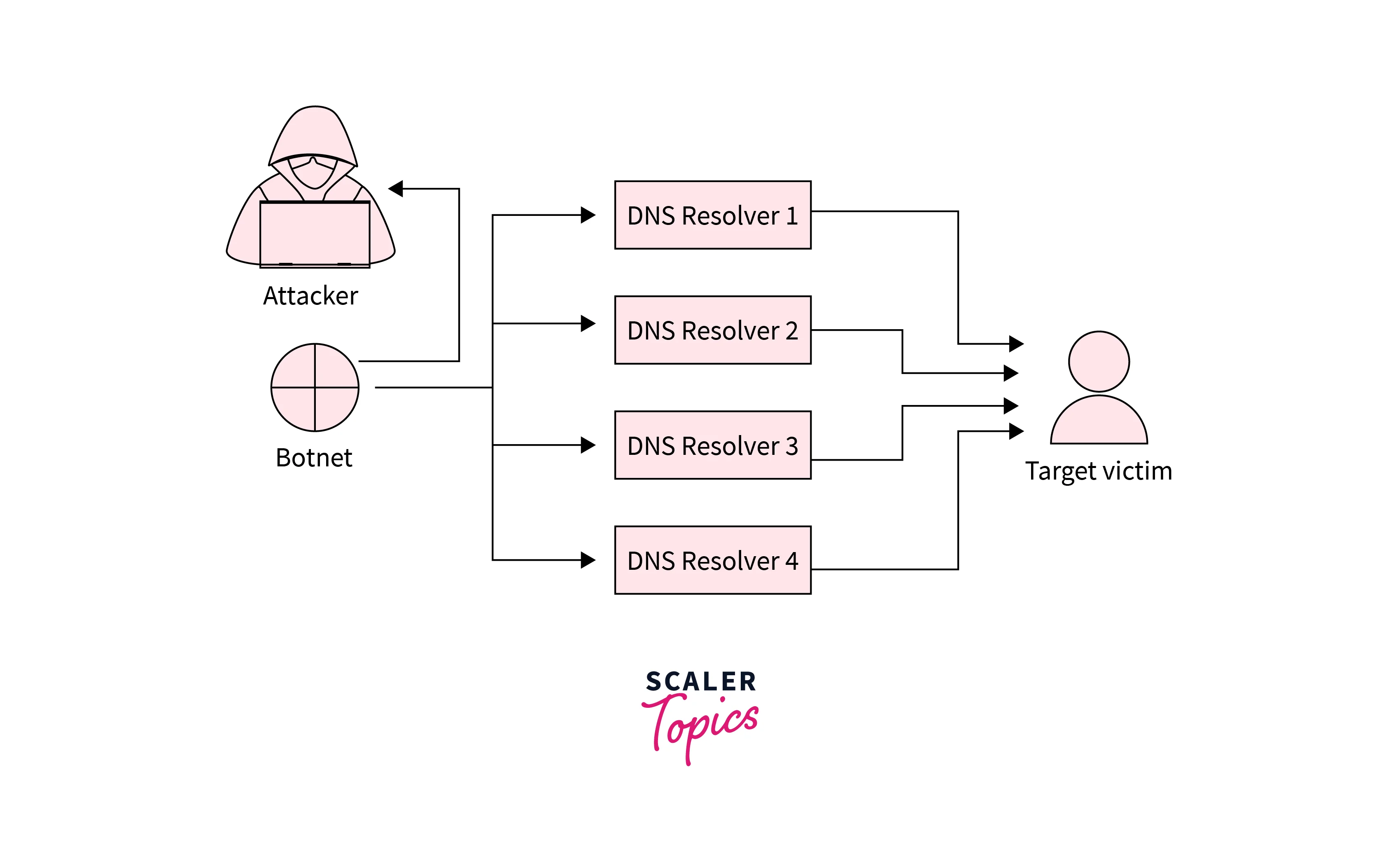 DNS Amplification