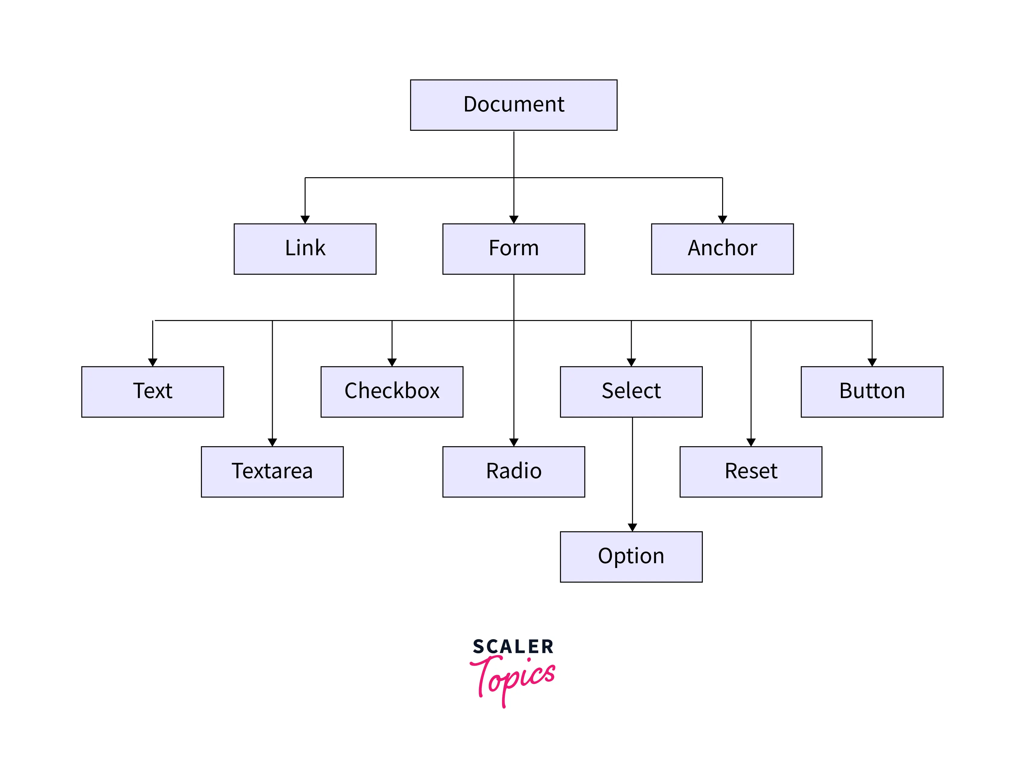 Document Object Properties