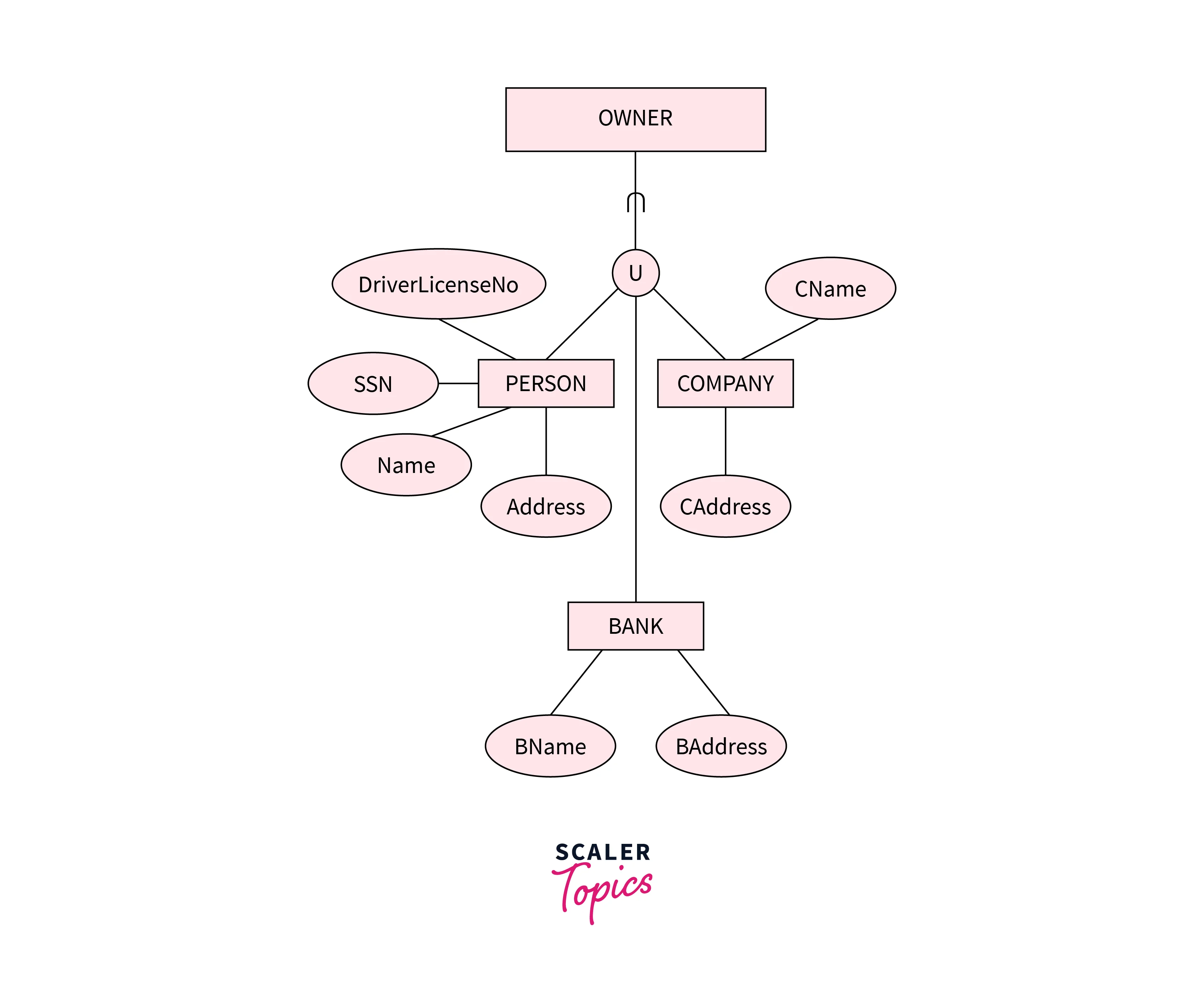 eer-model-in-dbms-scaler-topics