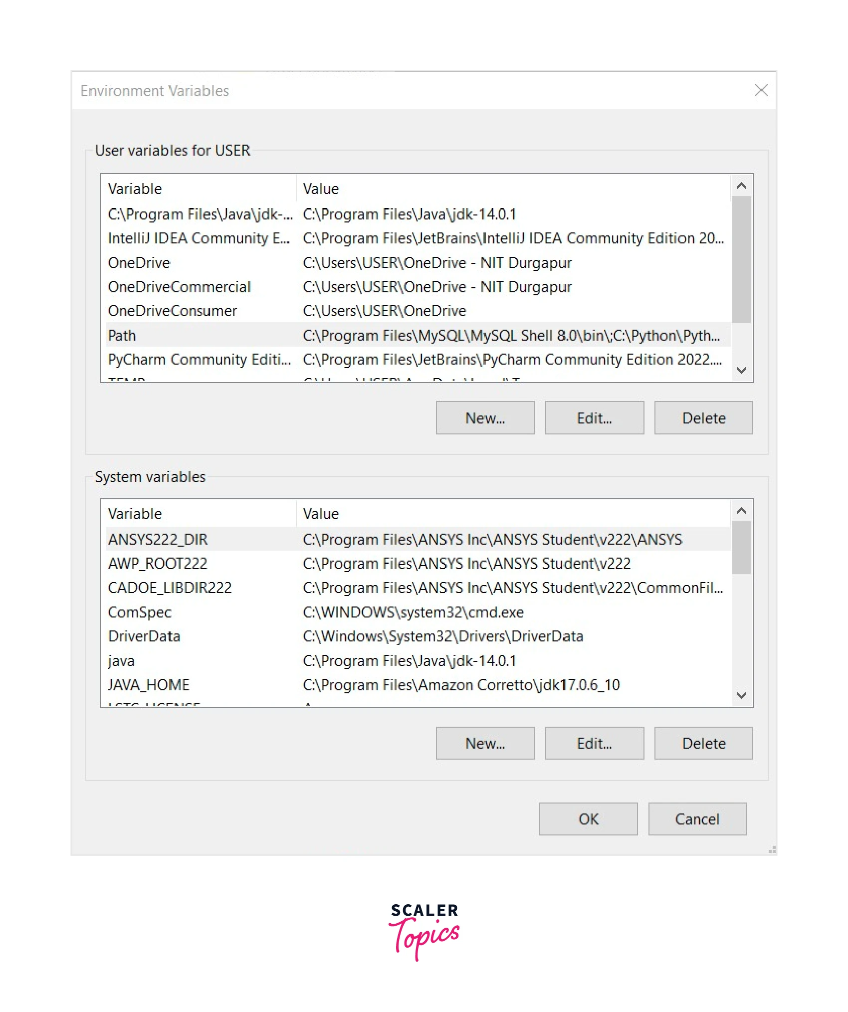 environment-variables-page