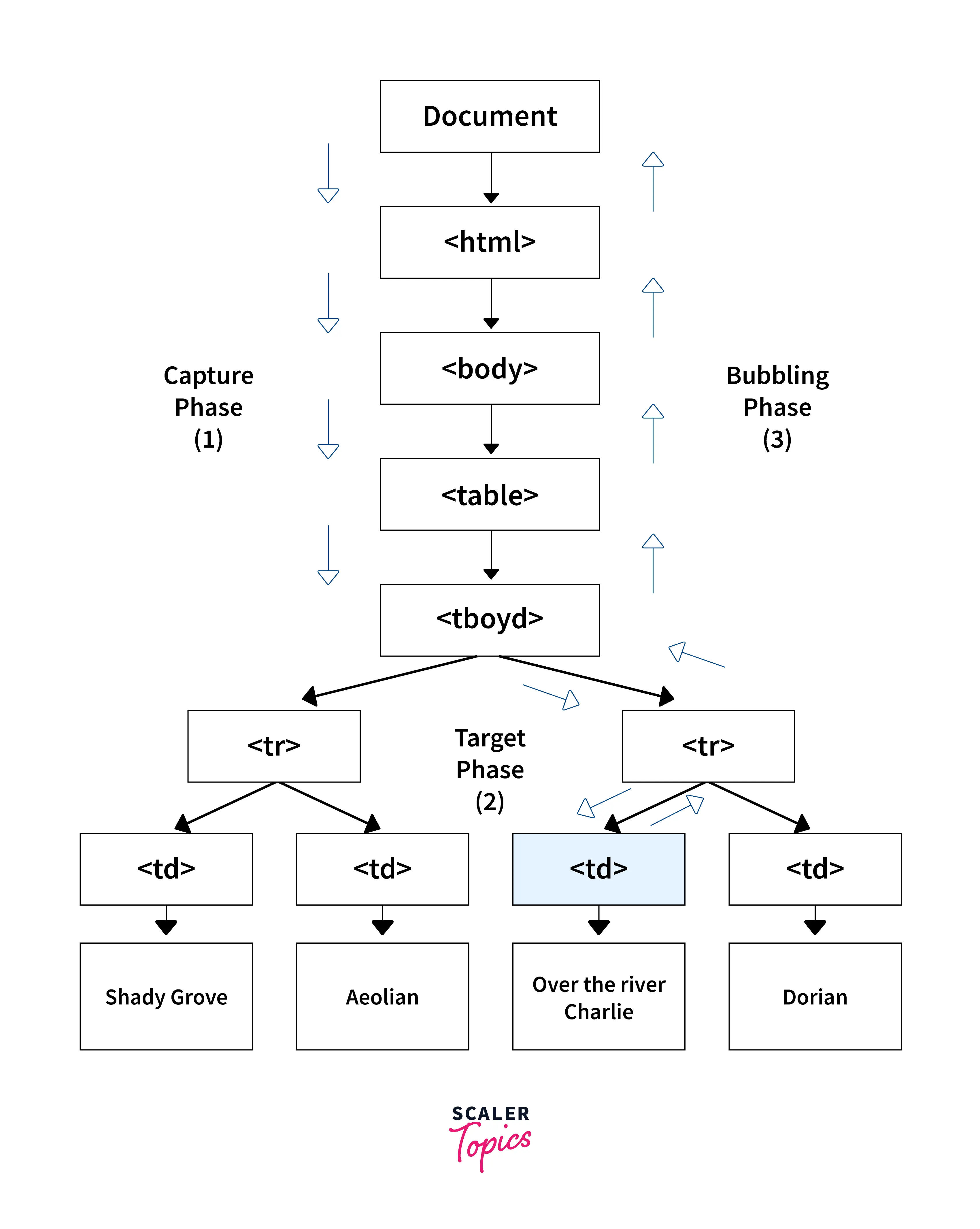 What Is Event Bubbling In Javascript Scaler Topics