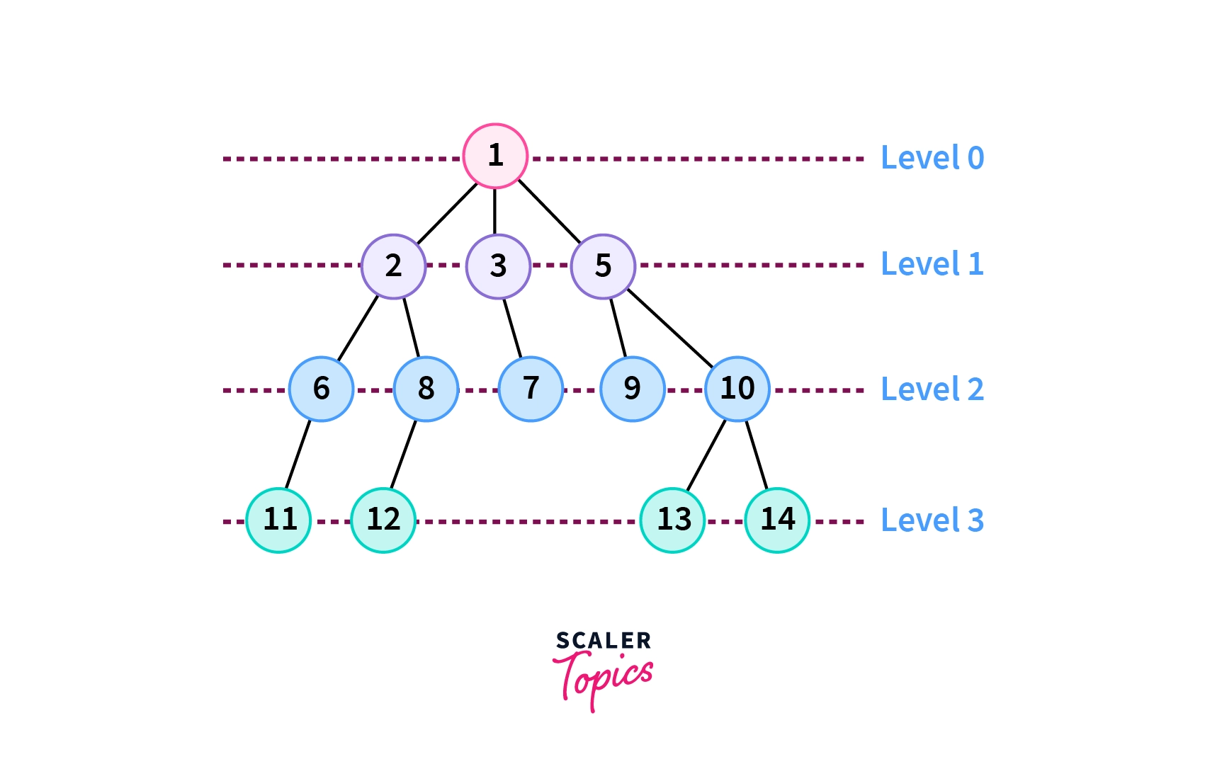 Example Case of Level Order Traversal