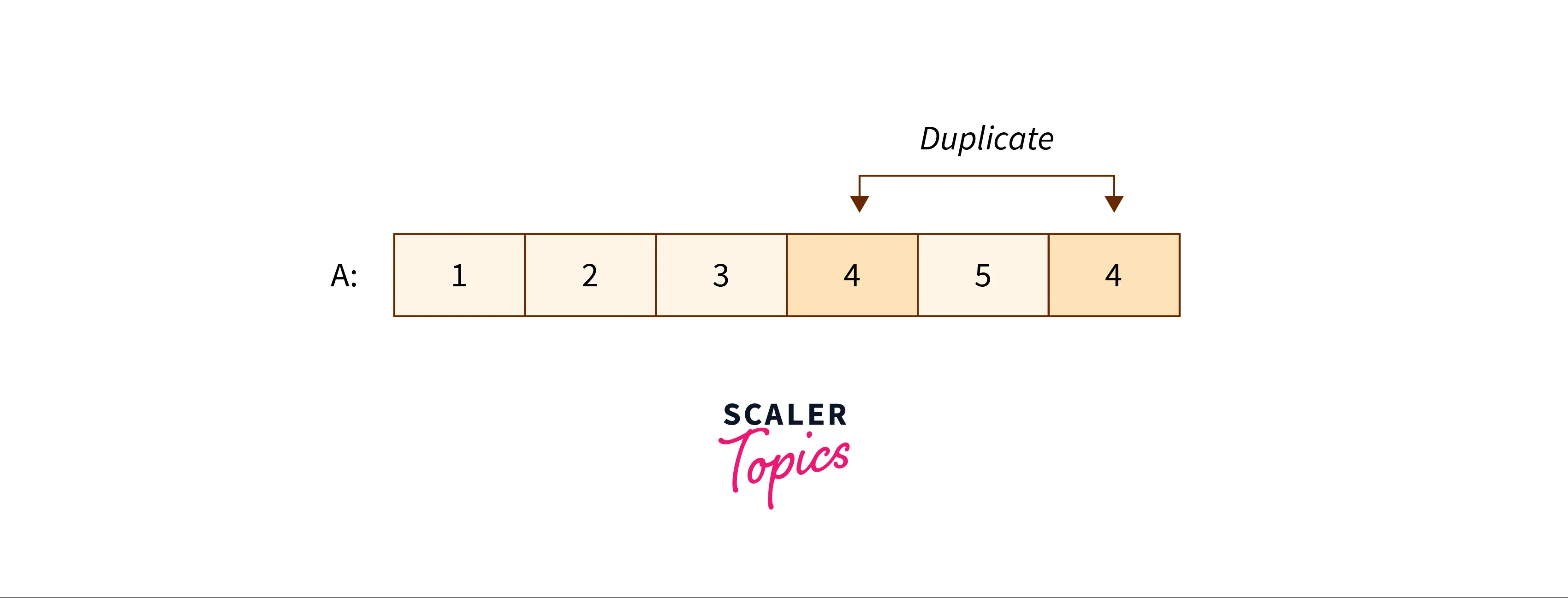 example-duplicate-in-array