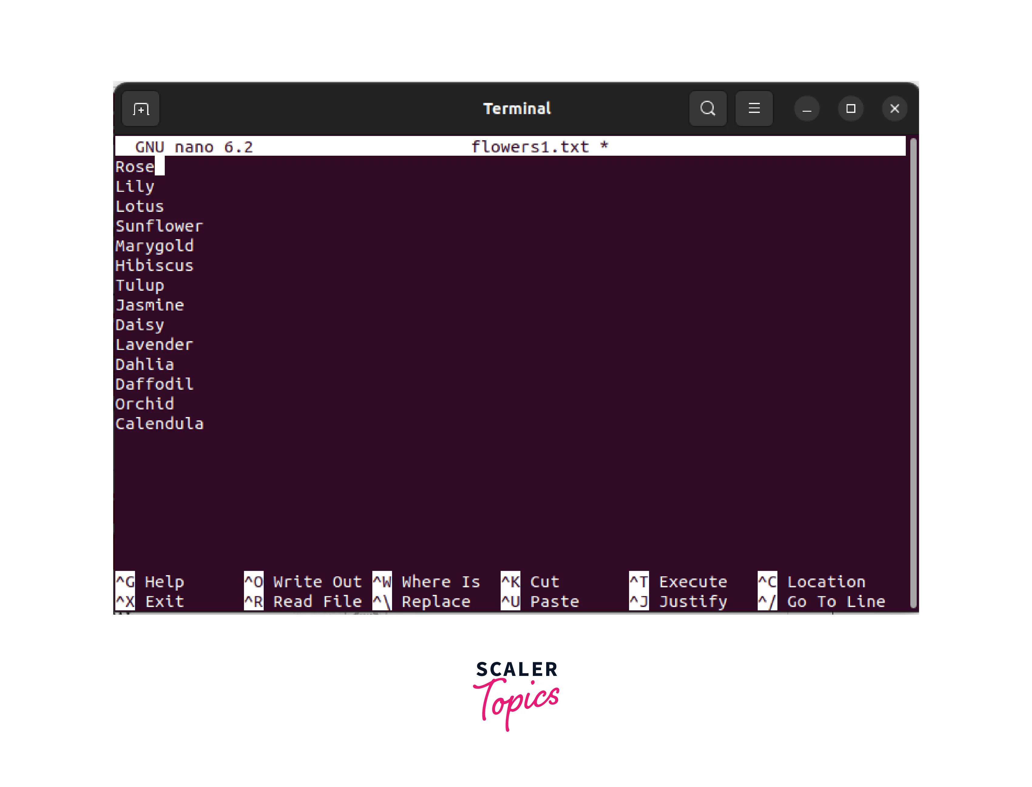 Head Command in Linux - Scaler Topics