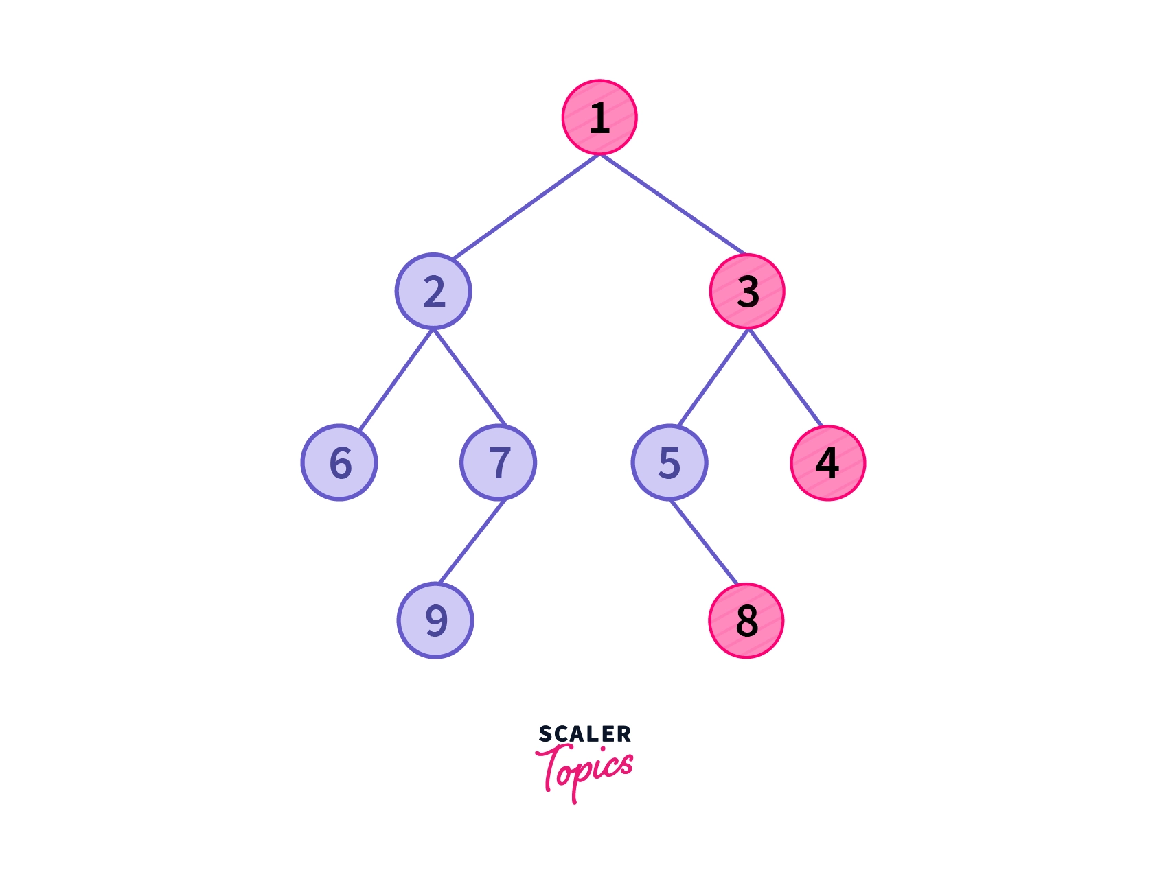 Example of Right View of Binary Tree