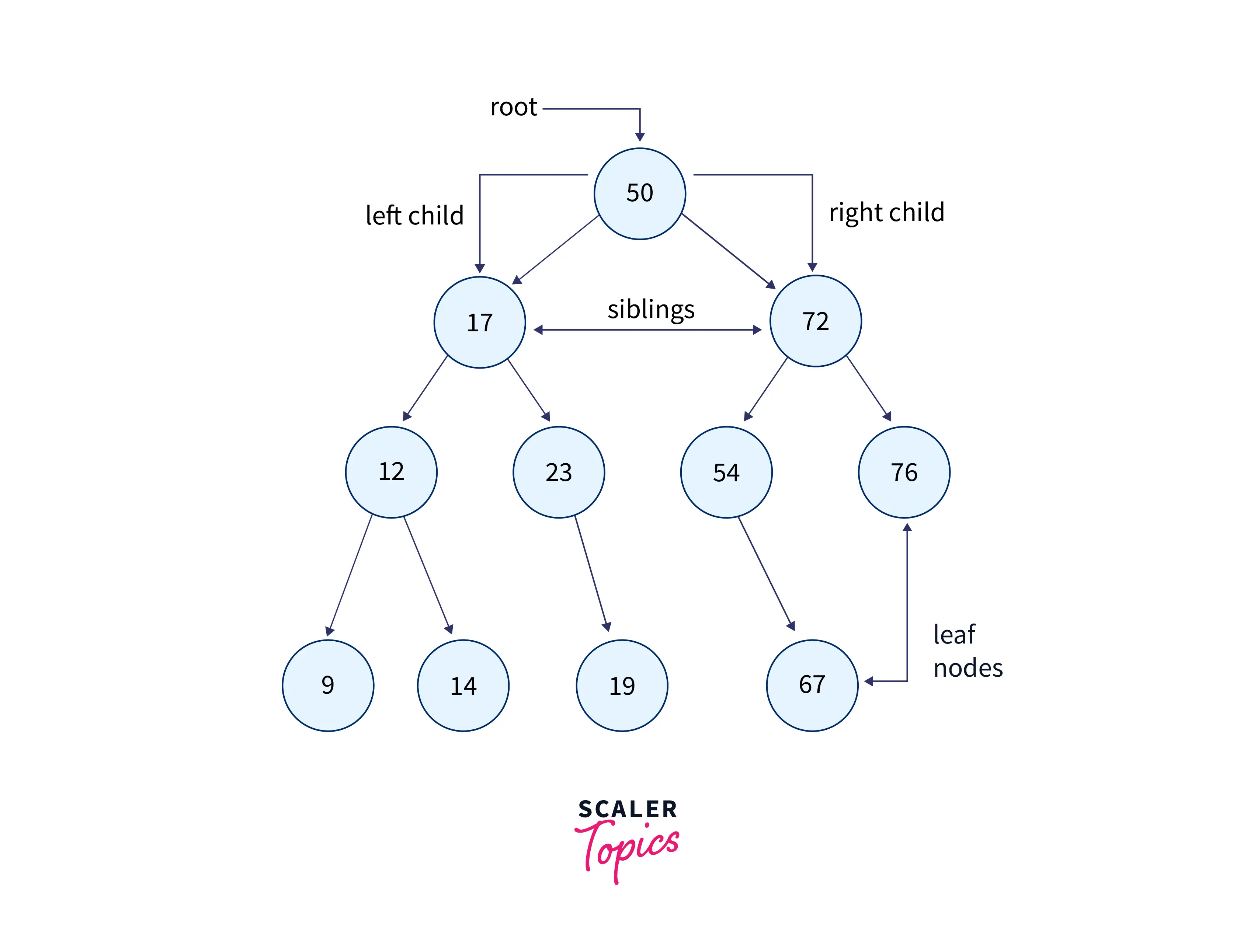 example-tree-showing-root-node-child