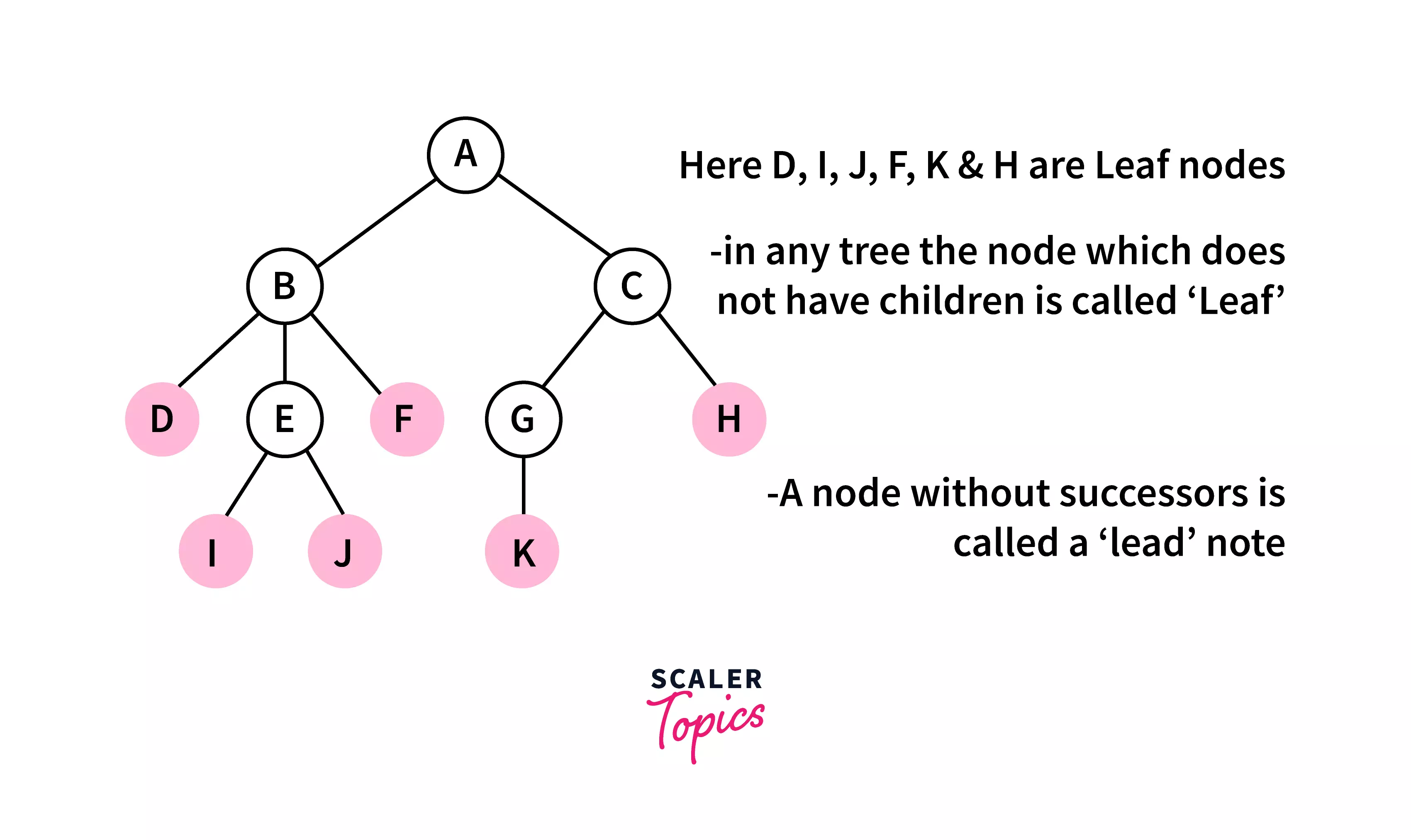 external-node-tree-terminology