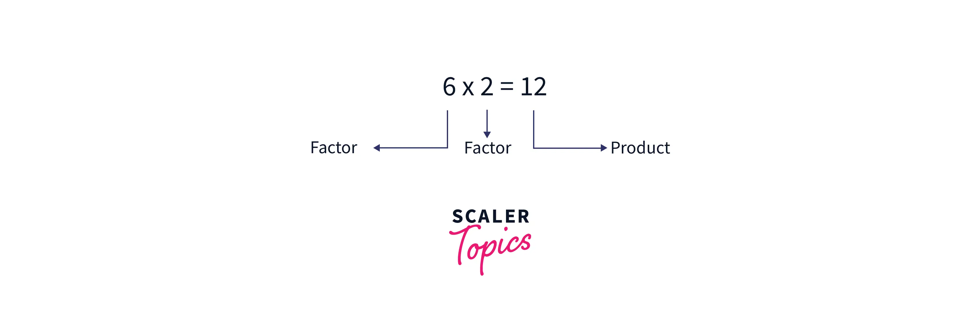 factors of the number