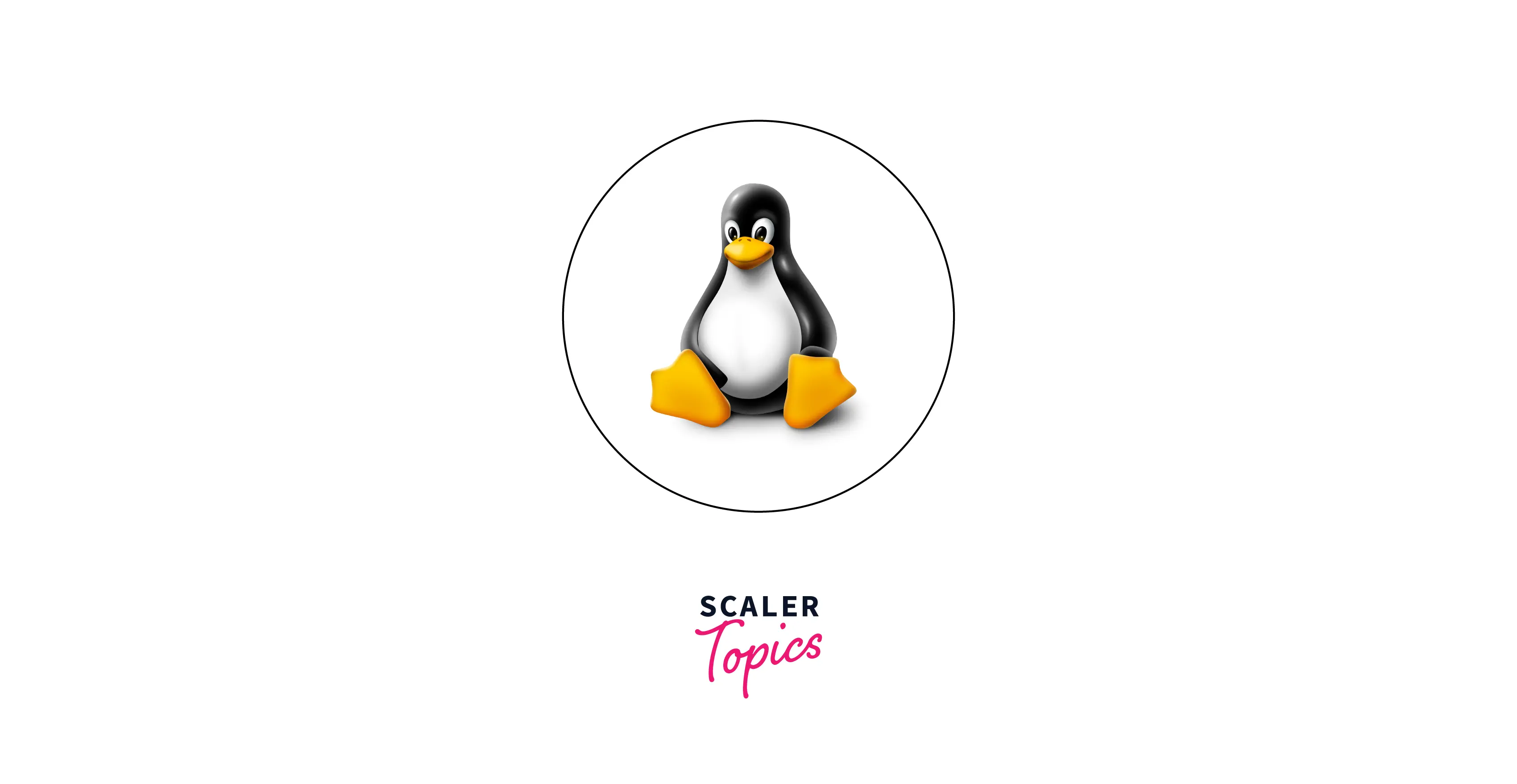 Features Of Linux Operating System| Scaler Topics