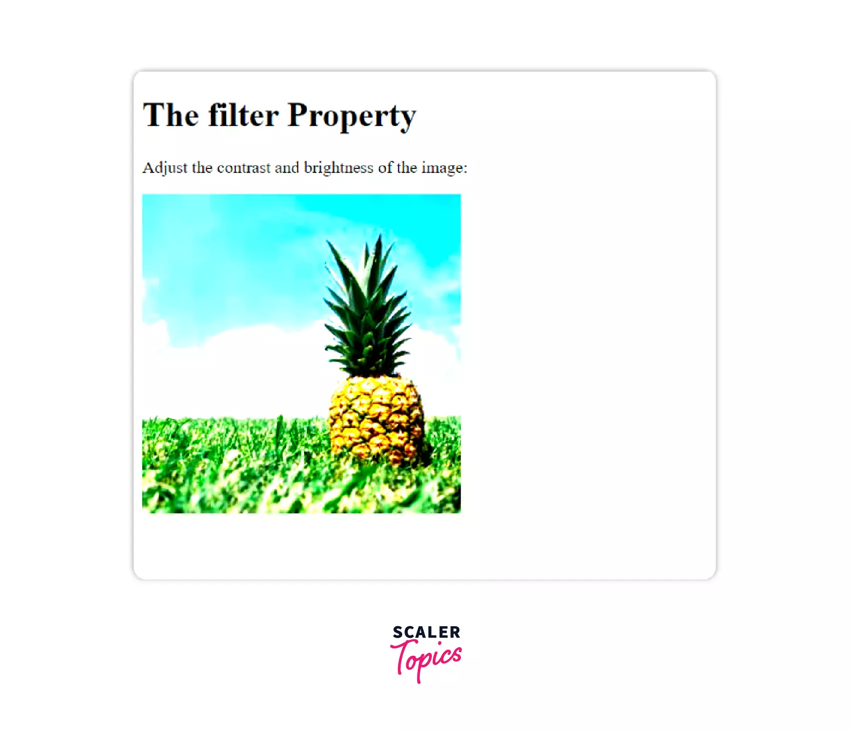 filter property 2