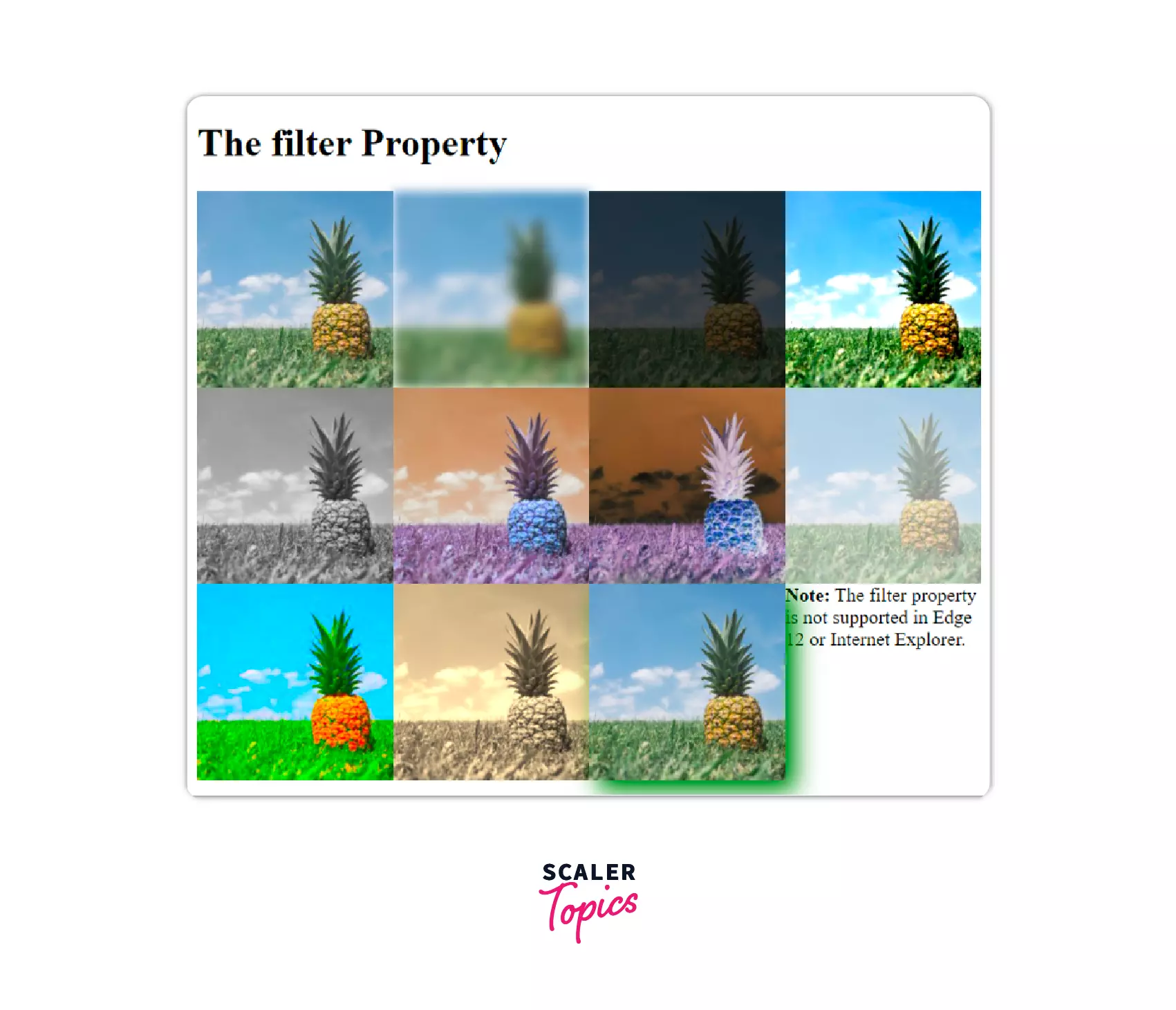 filter property