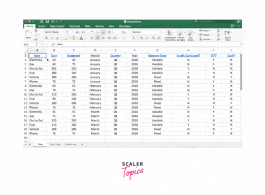 filtering data in excel