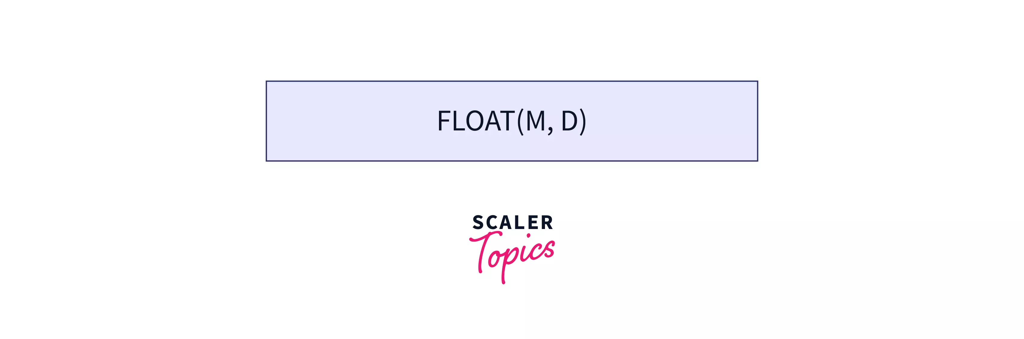 float data types