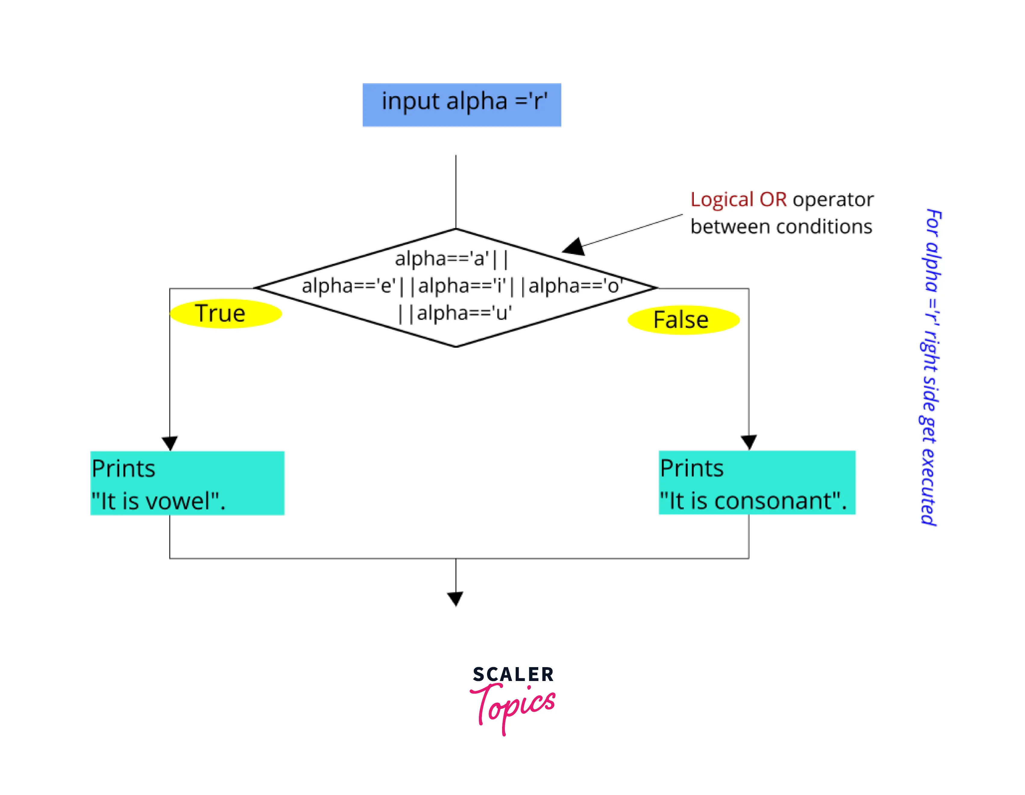 flow-diagram-whether-character-is-consonant-or-vowel