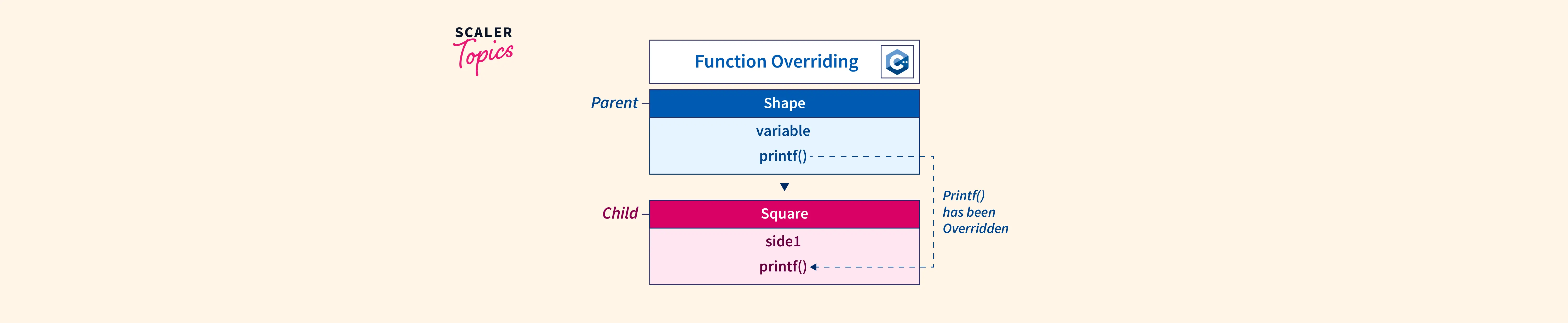 function-overriding-in-c-scaler-topics