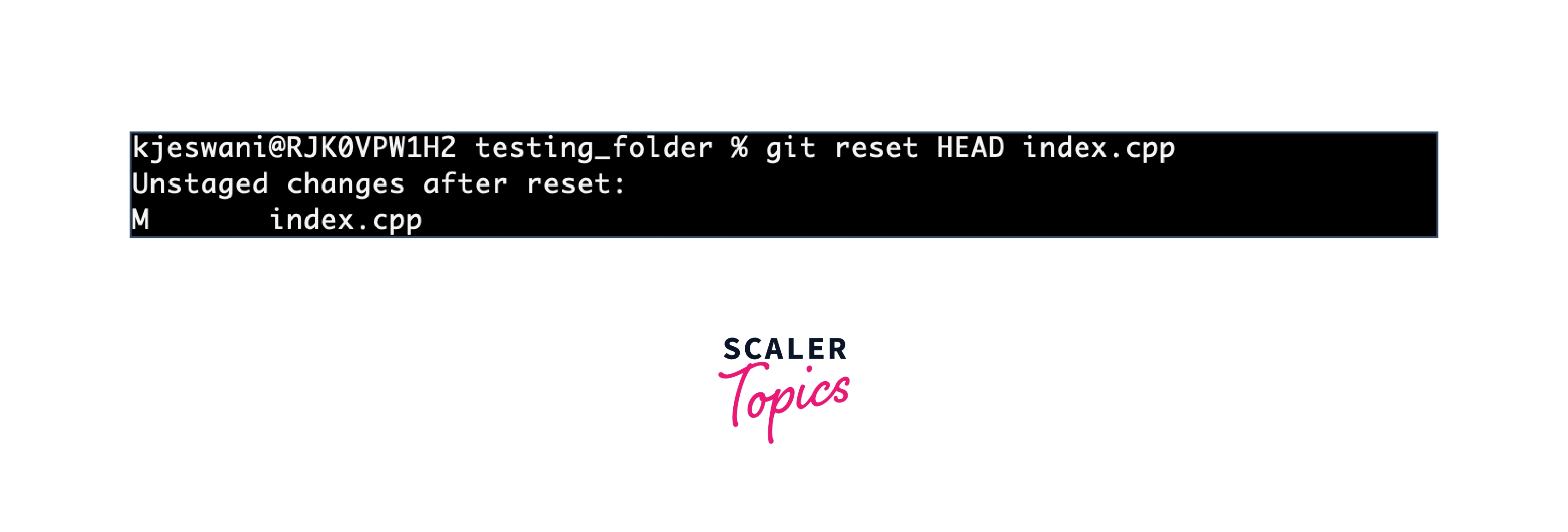 Git reset command for file