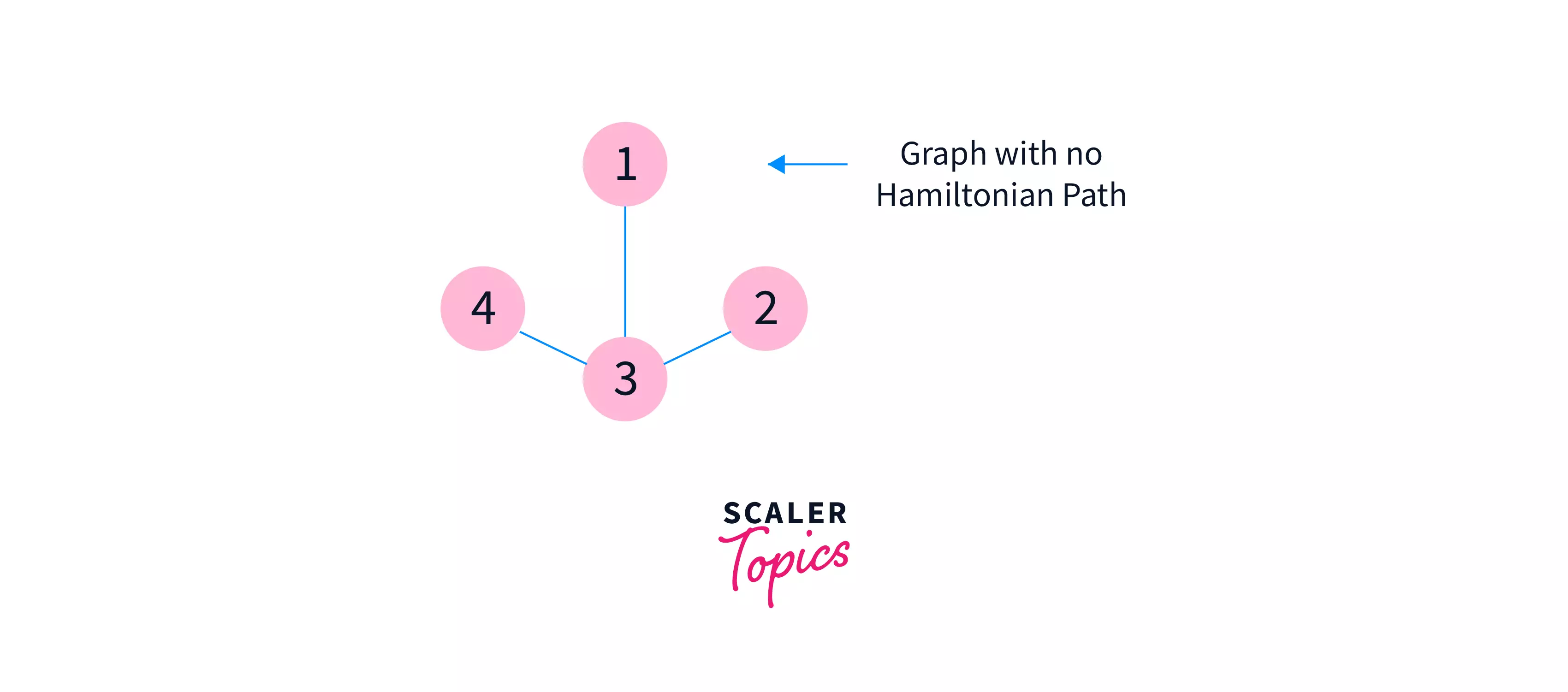 graph with no hamiltonian path