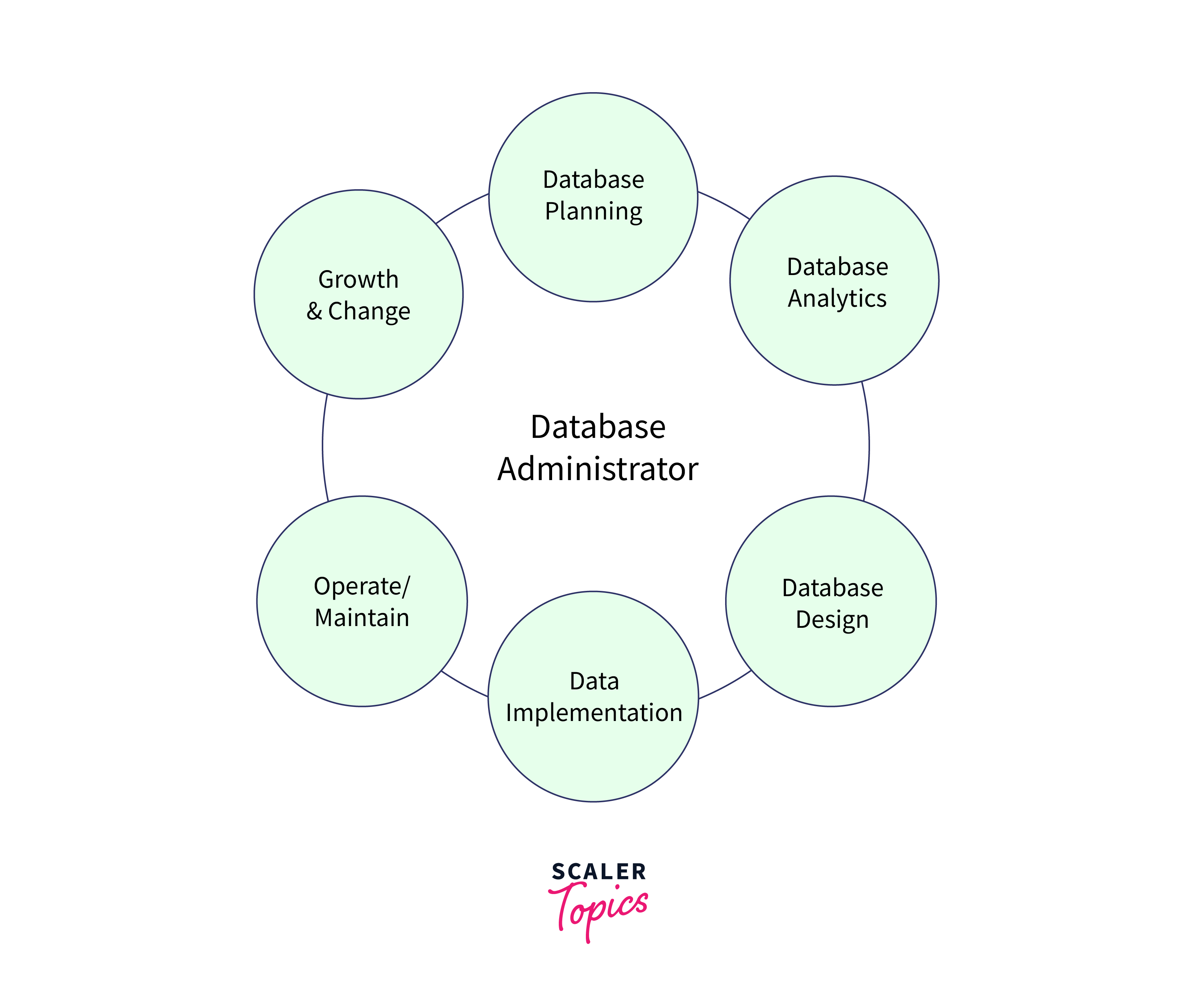 data administrator