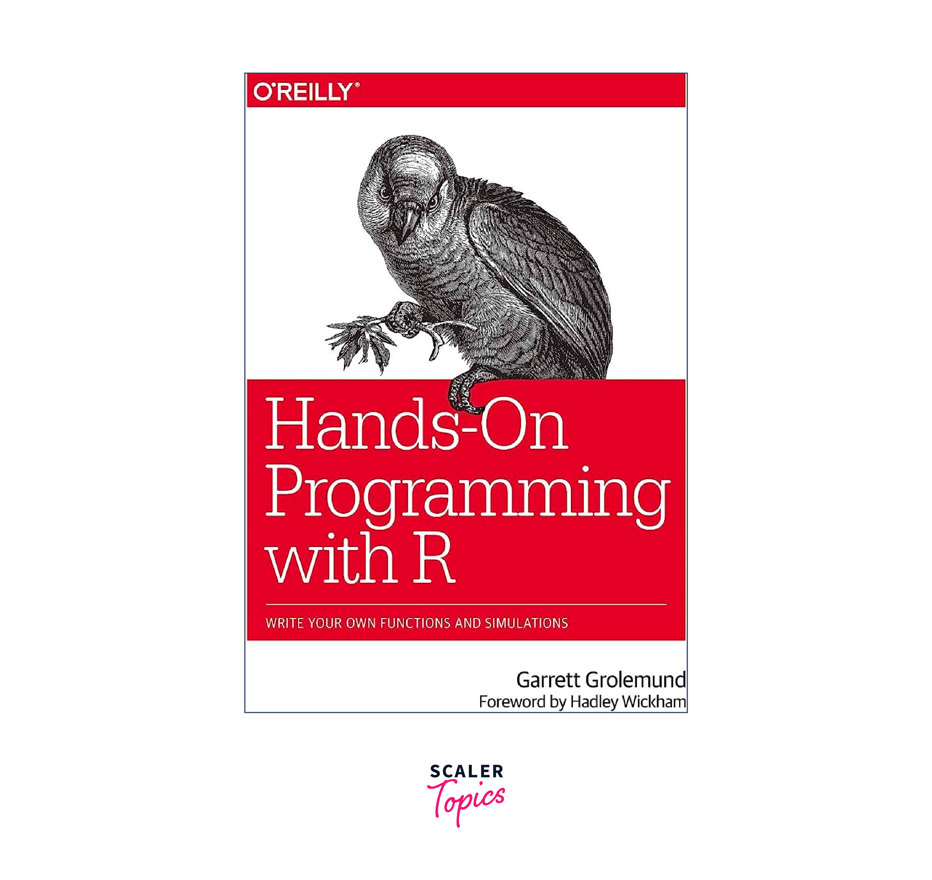 Hands-On Programming with R