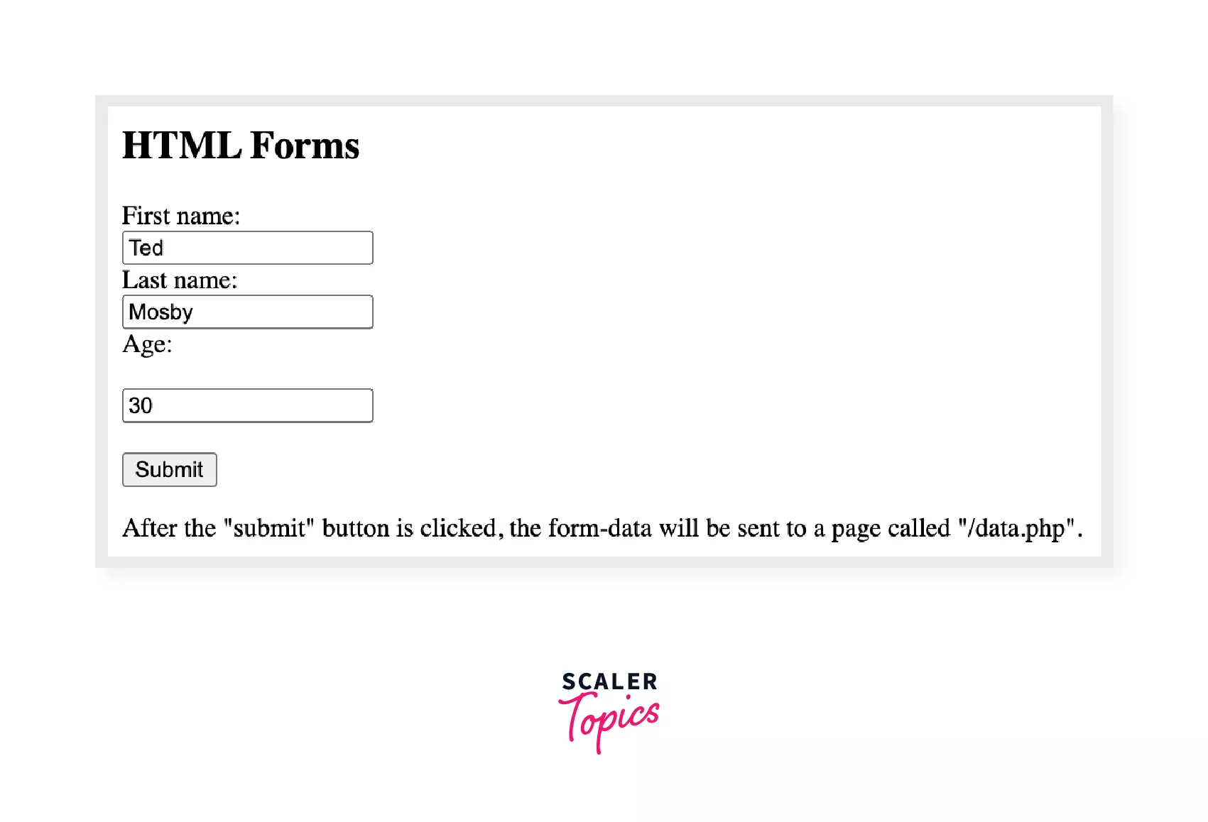 HTML forms code example output