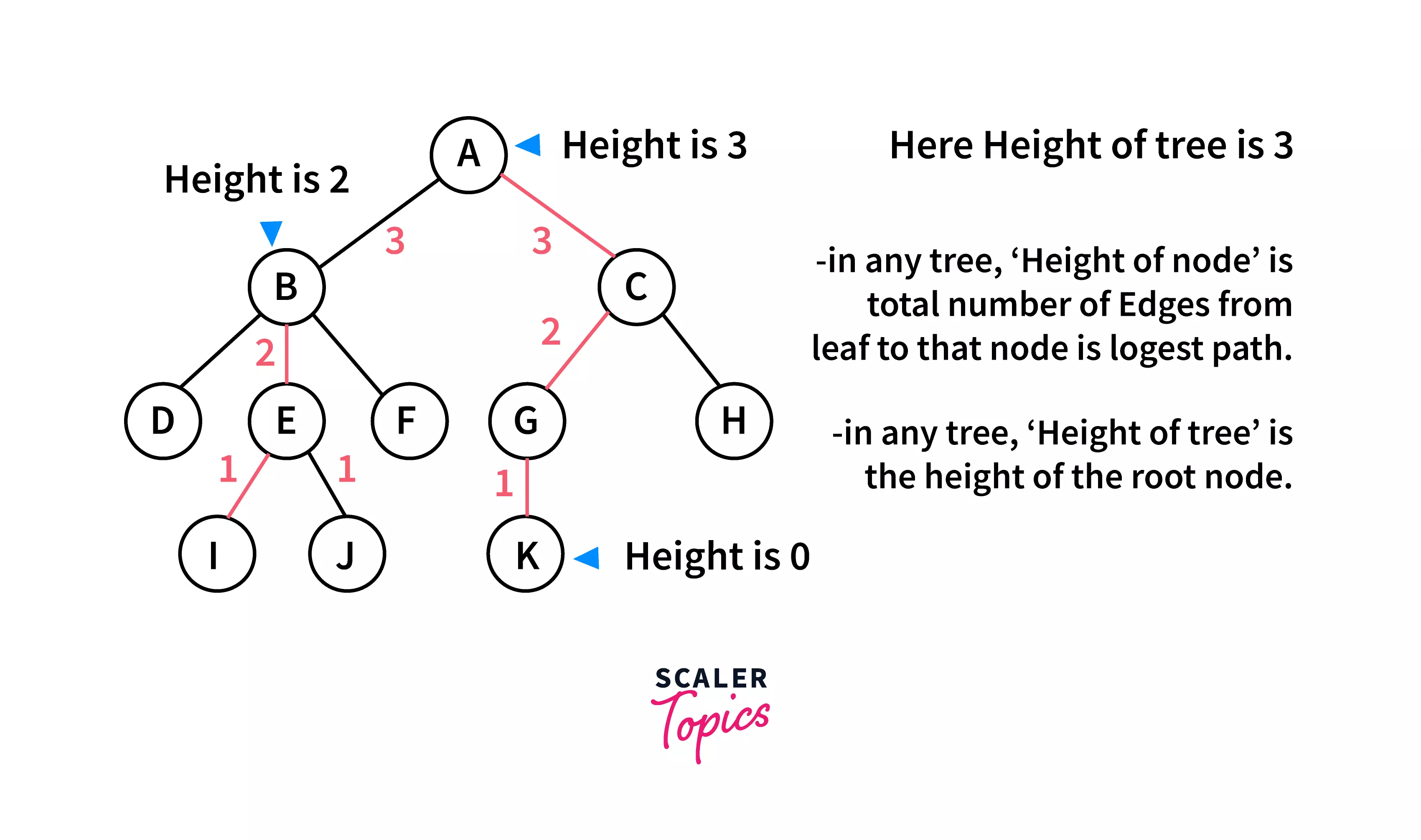height-tree-terminology