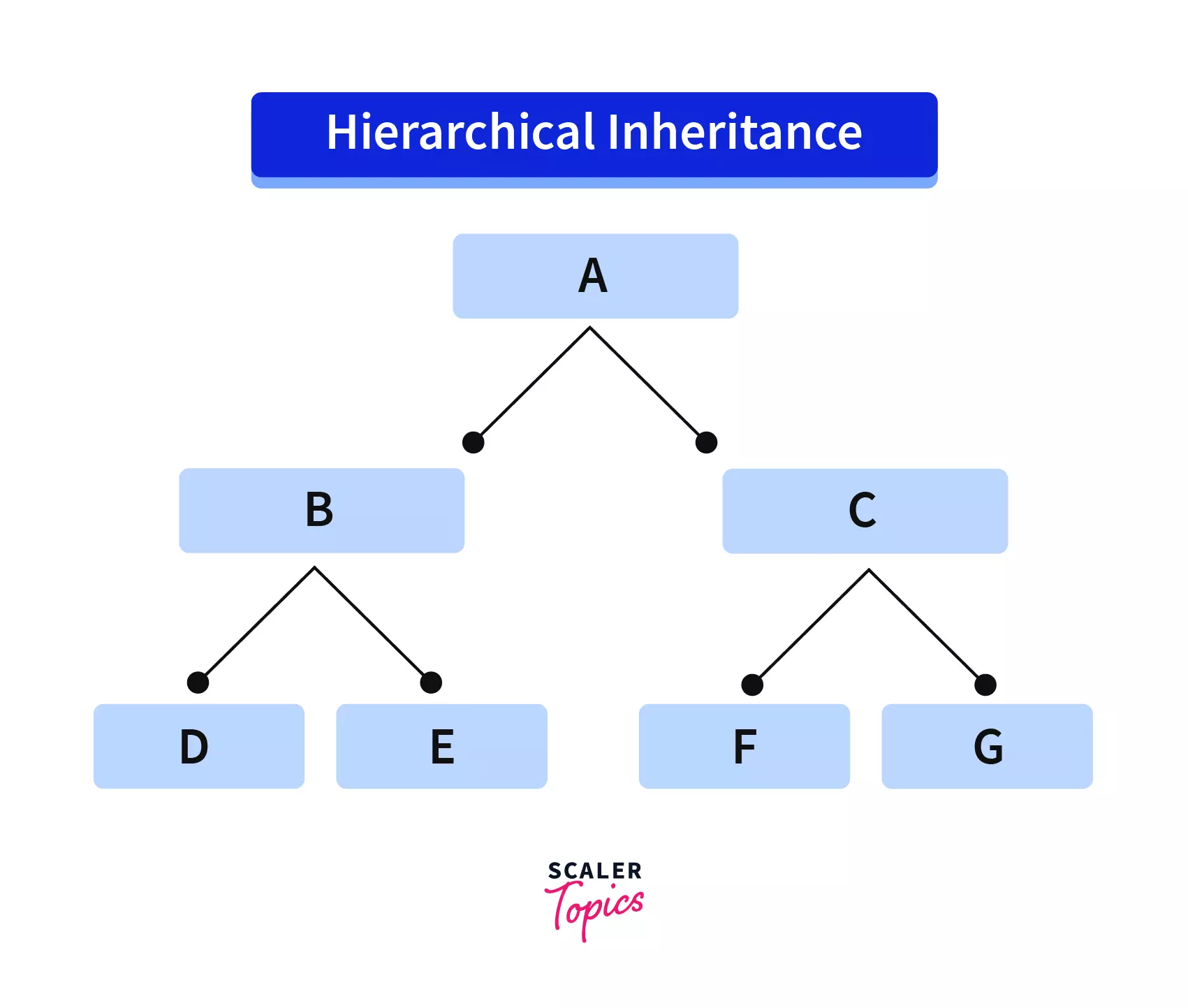 Hierarchical Inheritance in C++