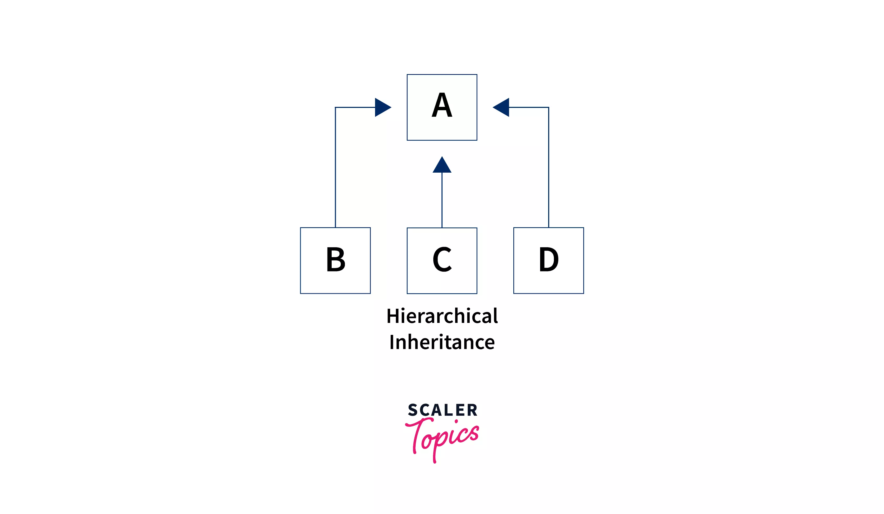 hierarchical-inheritance-in-java2