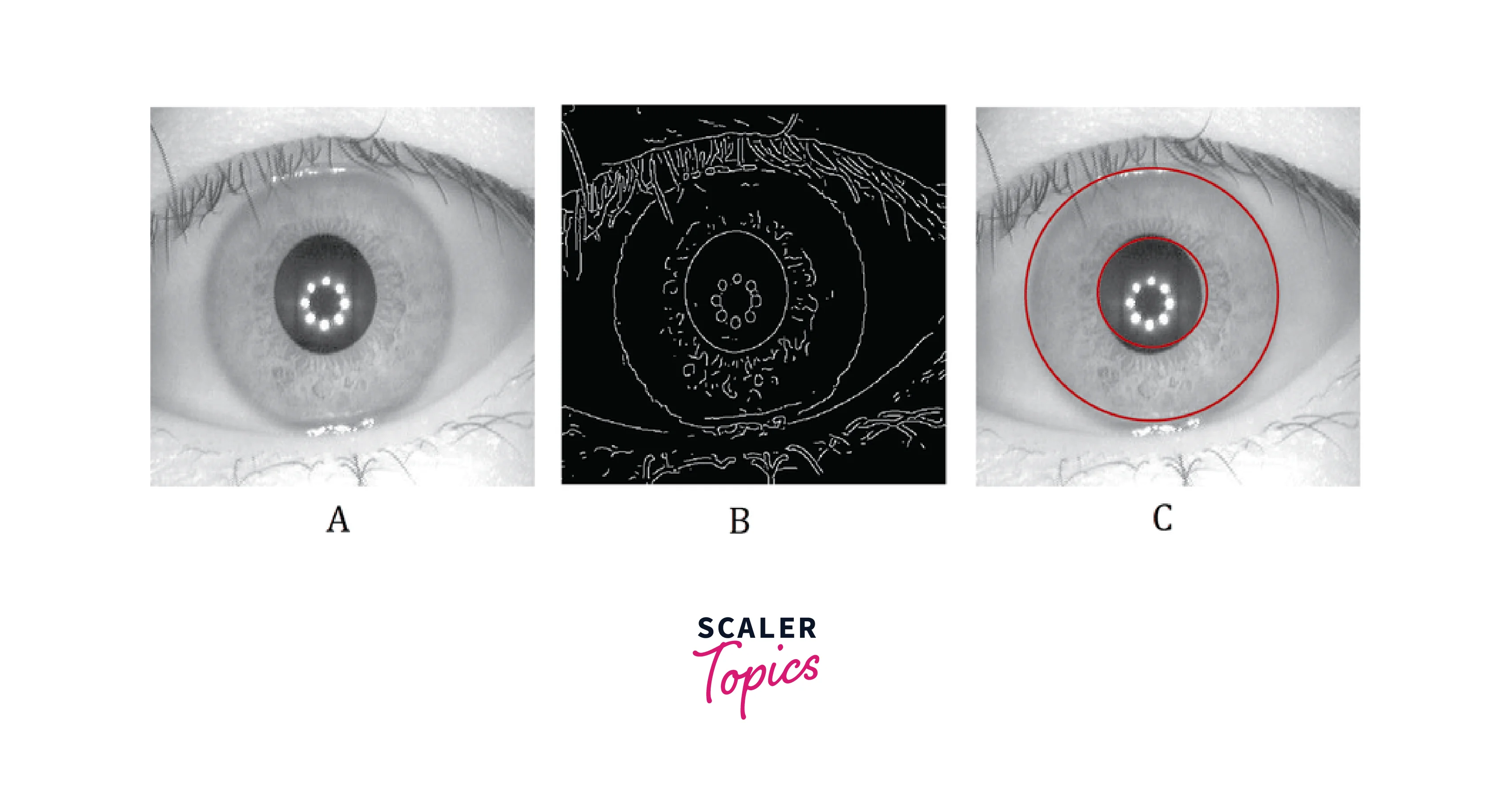 biometric use of hough transform