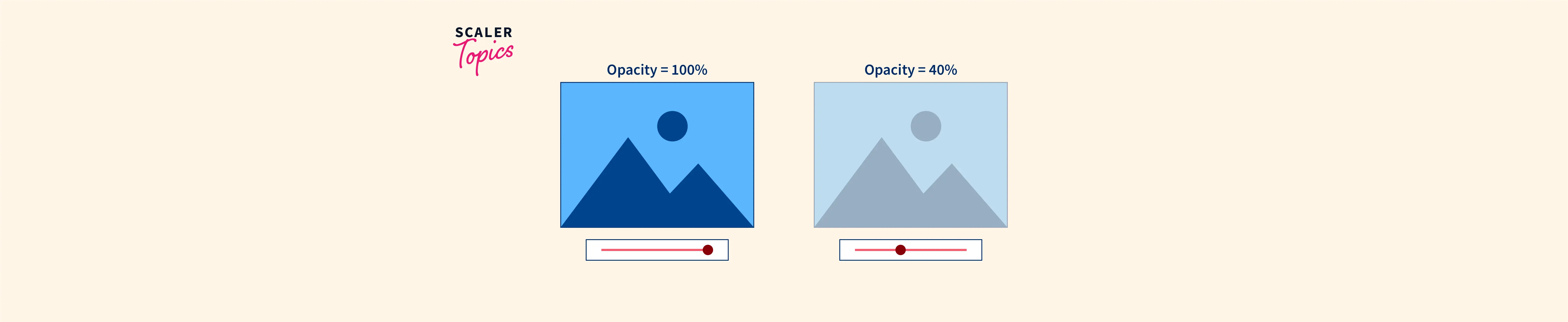 How to Change Background Image Opacity in CSS - Scaler Topics