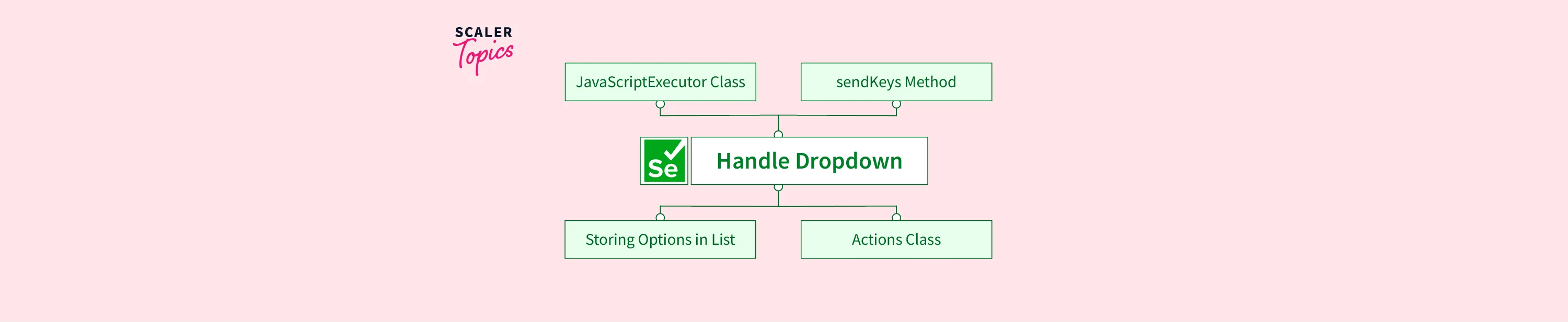 how-to-handle-dropdown-in-selenium-scaler-topics