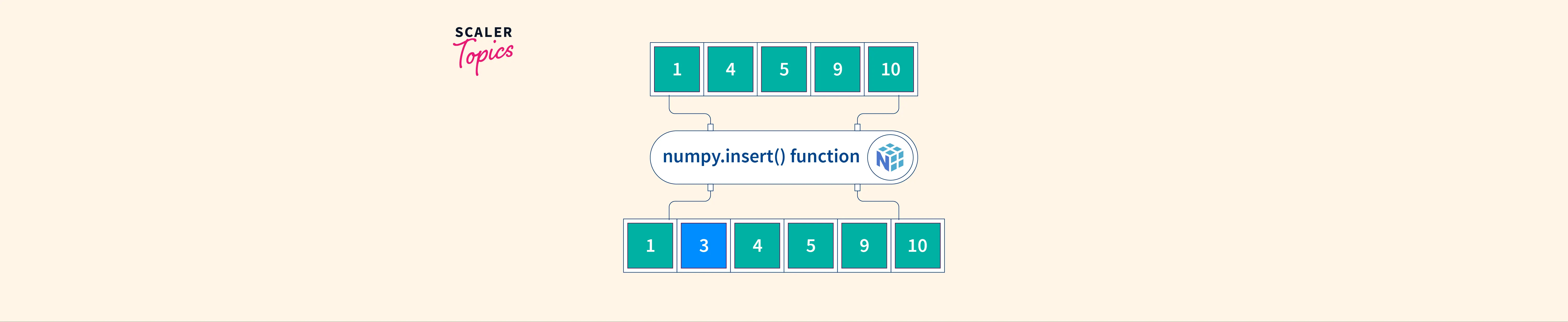 How to Use numpy.insert Function Scaler Topics