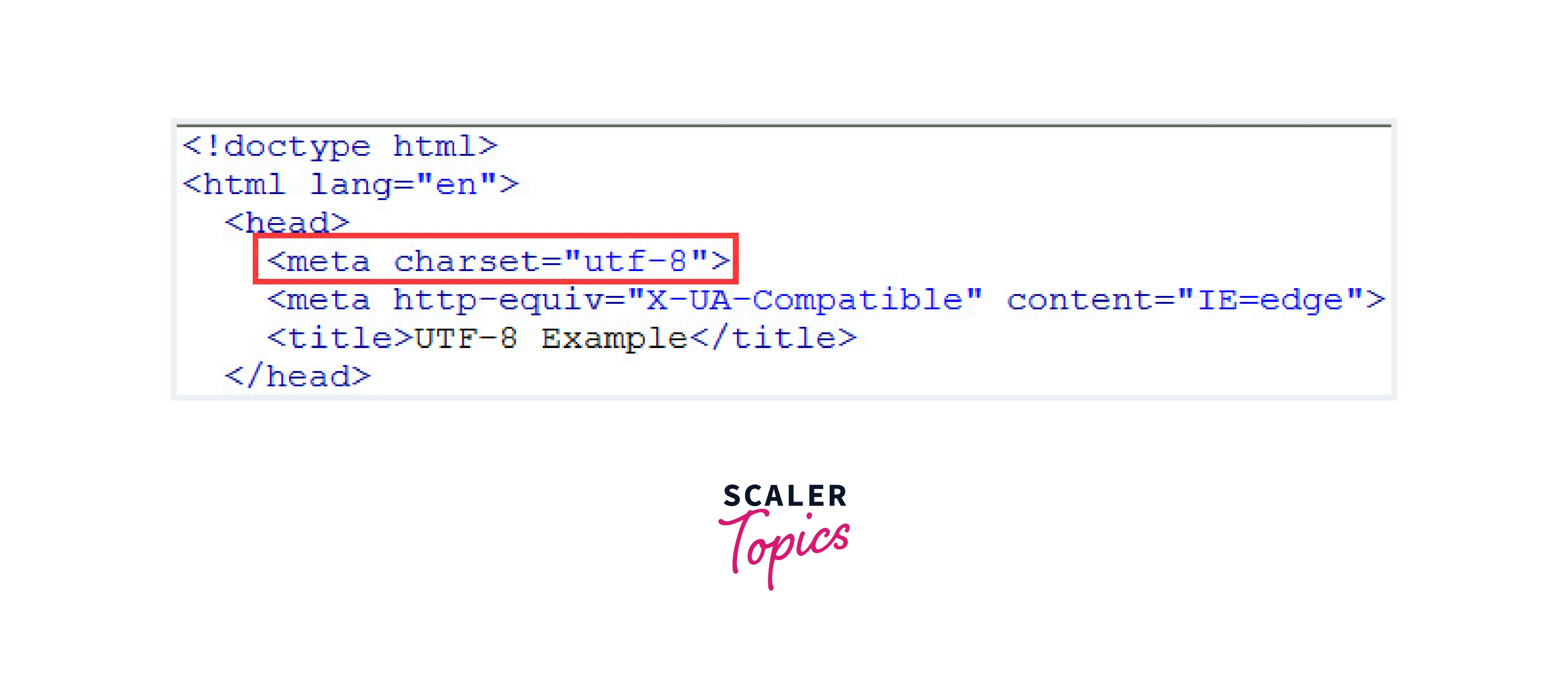 html program showing use of meta tag