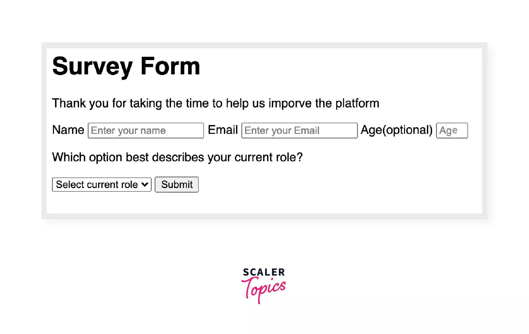 HTML survey Form Example output 1