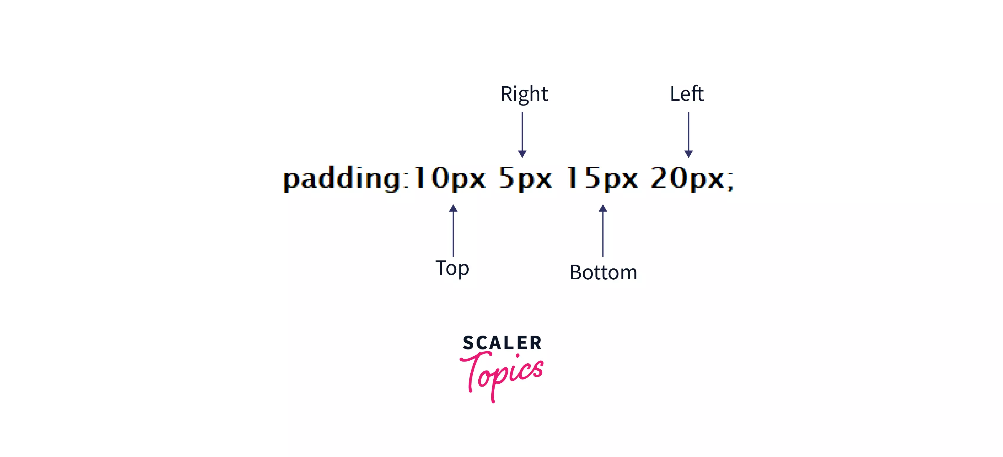 Button CSS - Scaler Topics