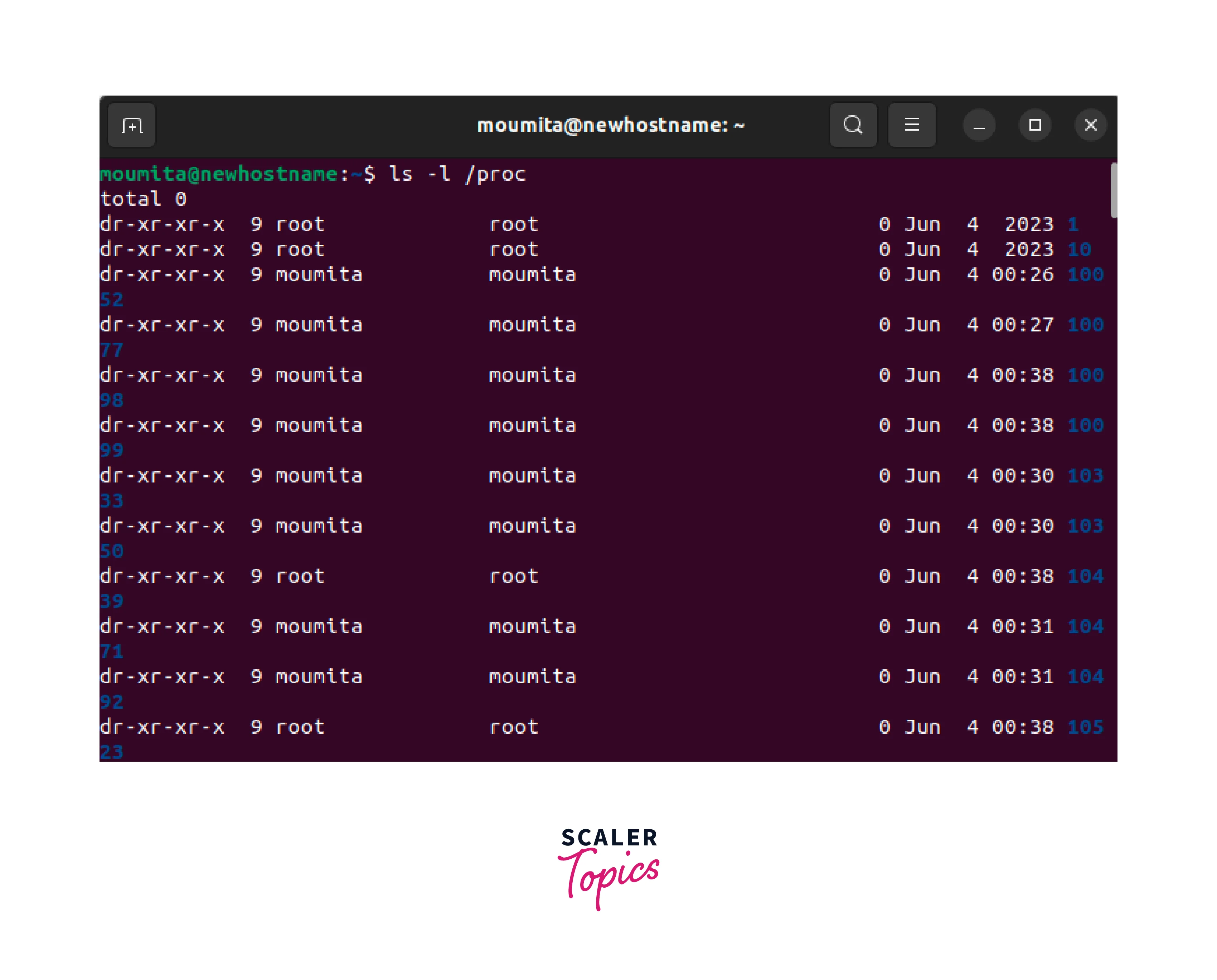 image-showing-command-of-procfs-shown-in-terminal