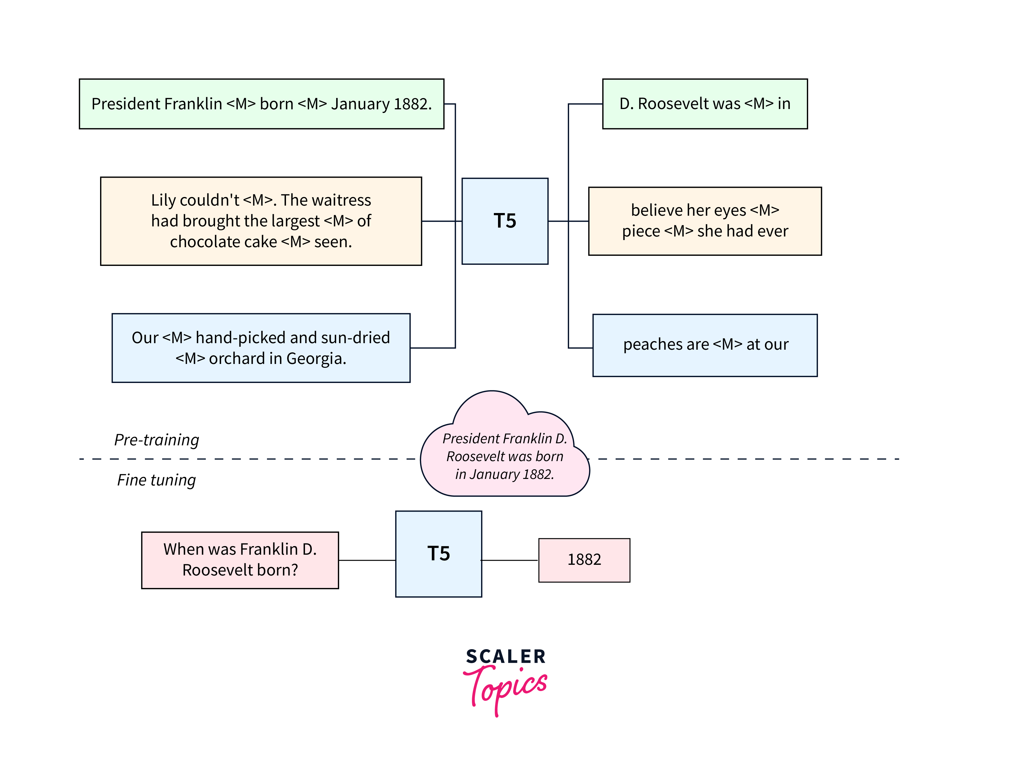 input and output format of t5 transformer