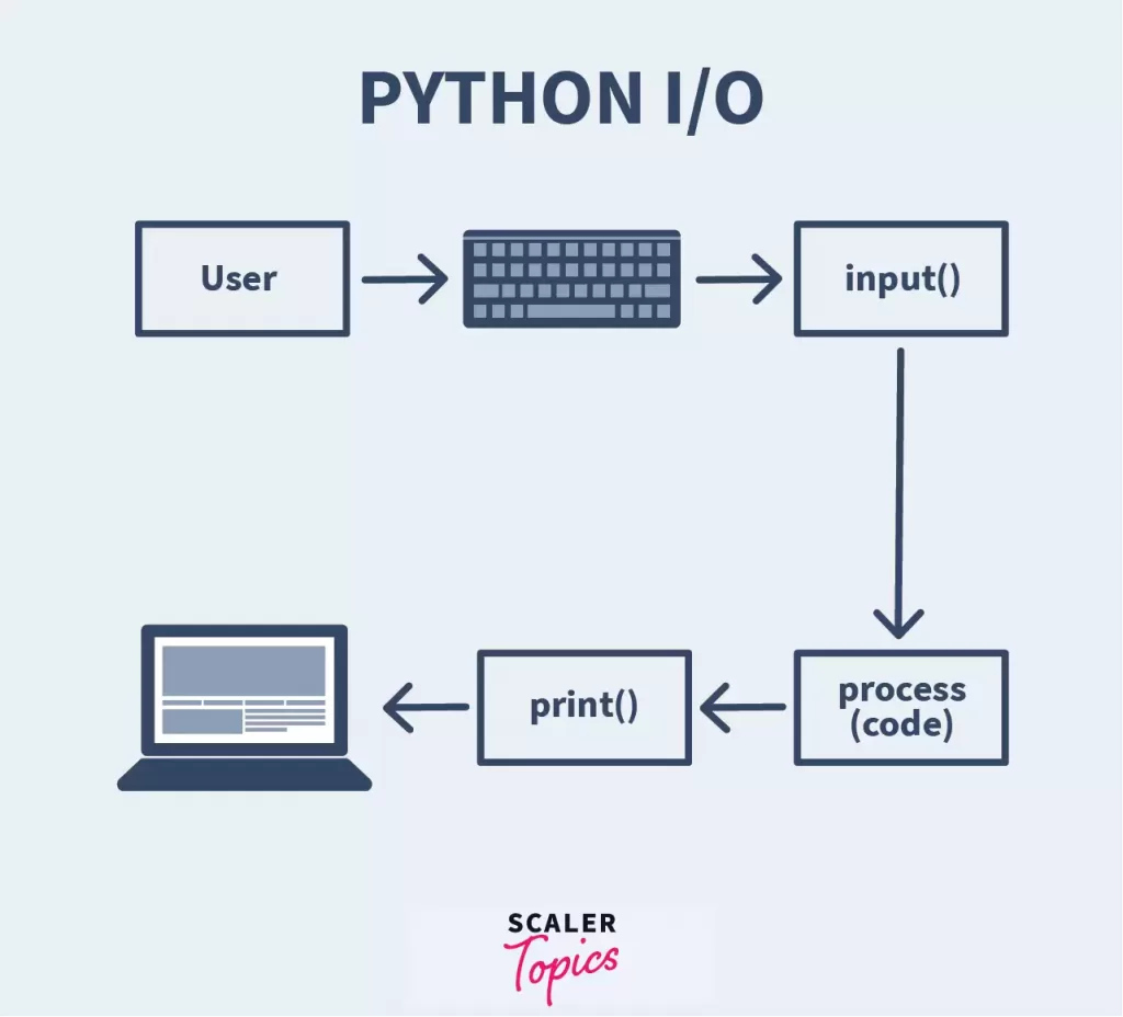 Introduction to File Handling in Python 