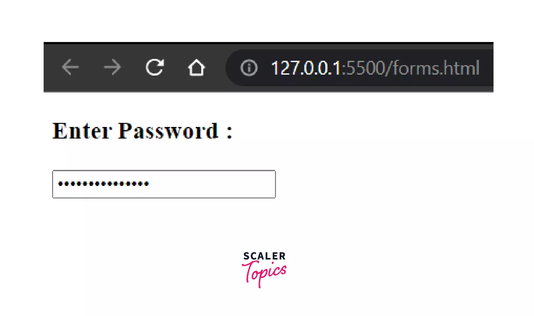 Input Type Password