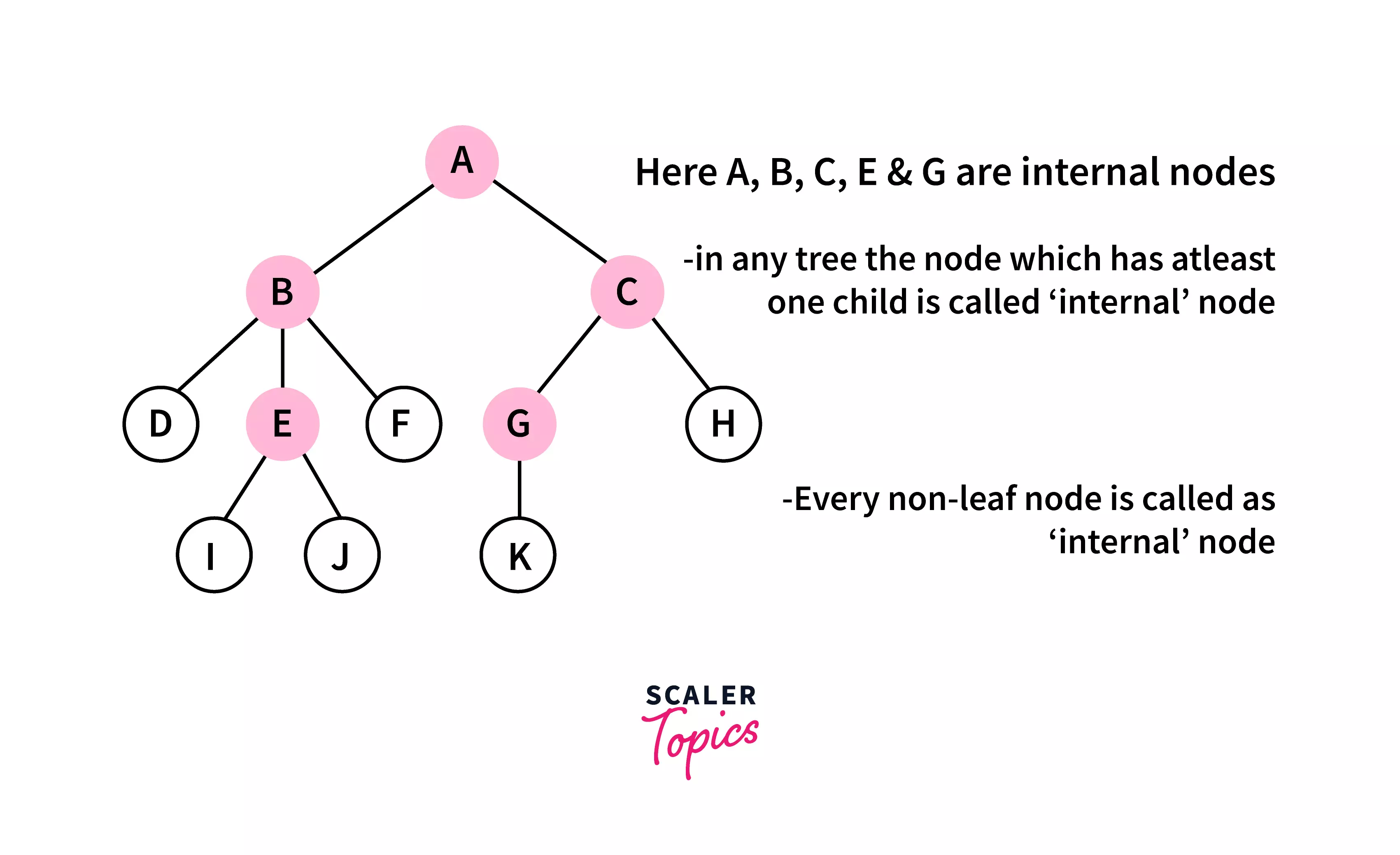 internal-node-tree-terminology