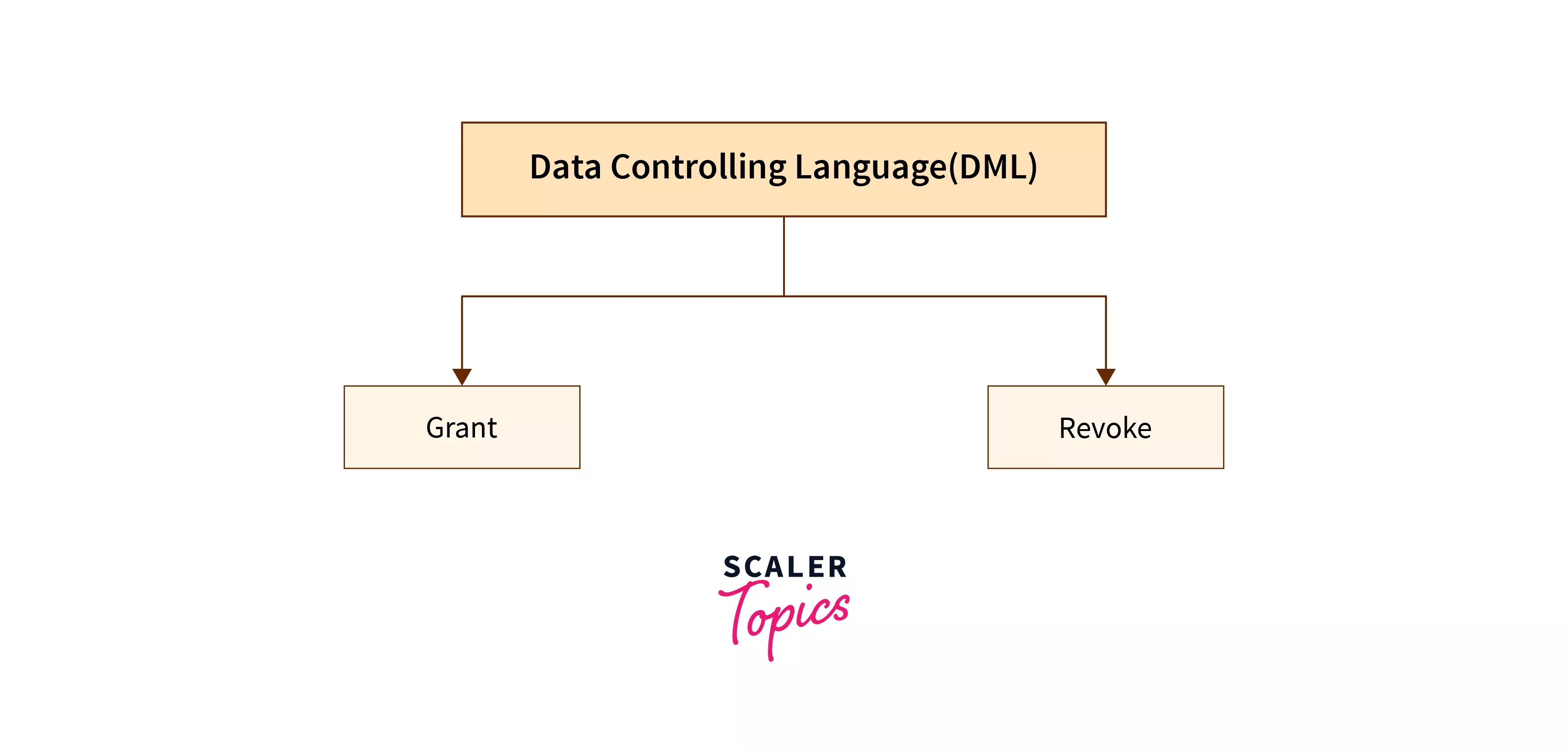introduction to grant command in sql