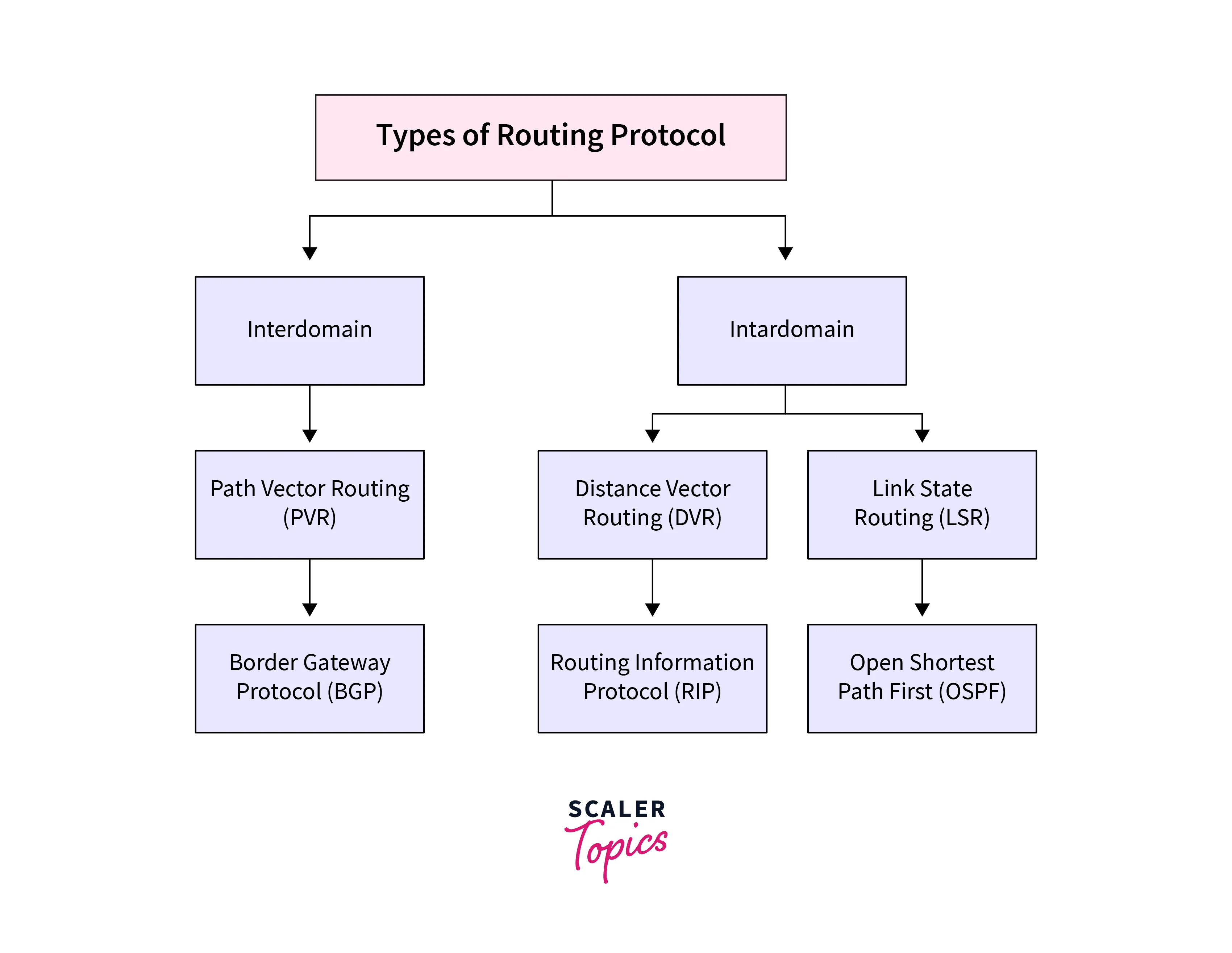 main routing protocols