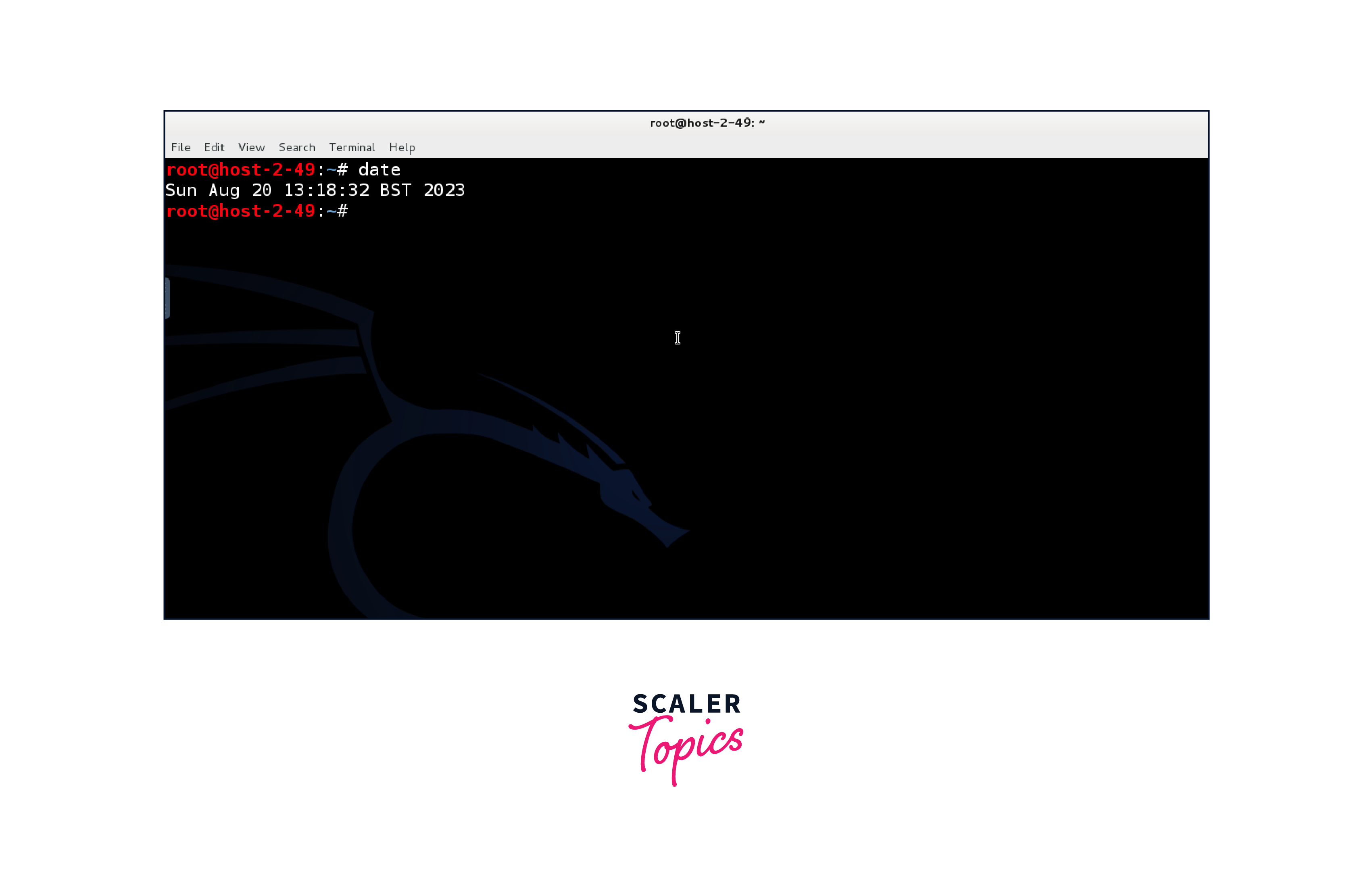 Top 20 Basic Kali Linux Commands Scaler Topics