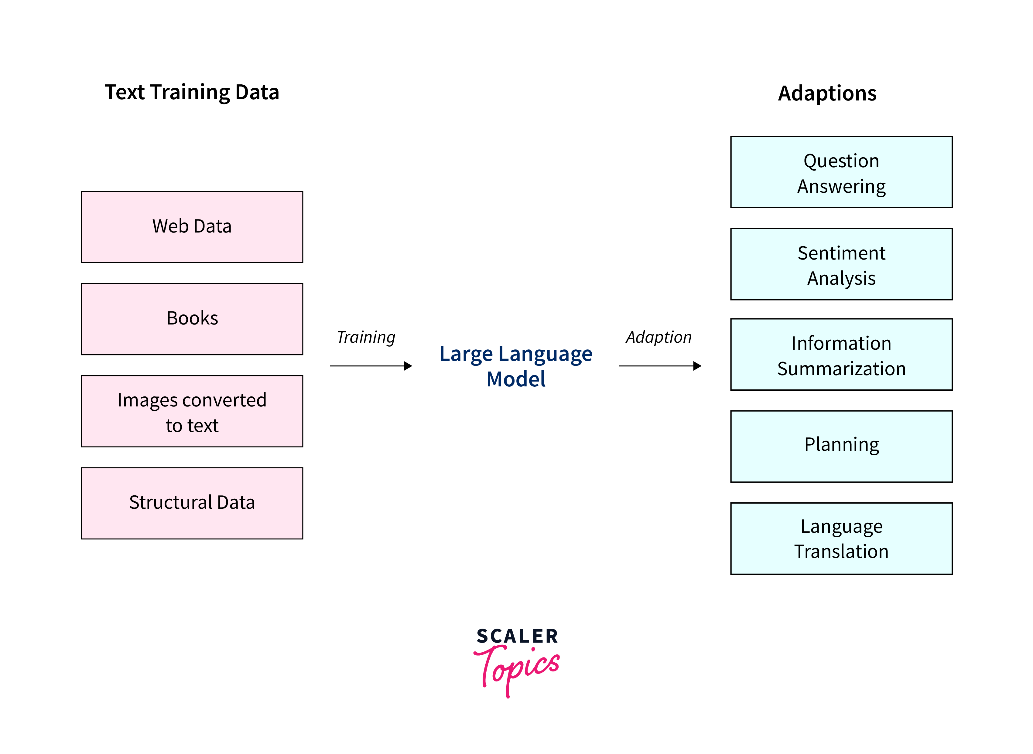 Myths And Reality Around large language Models - Scaler Topics