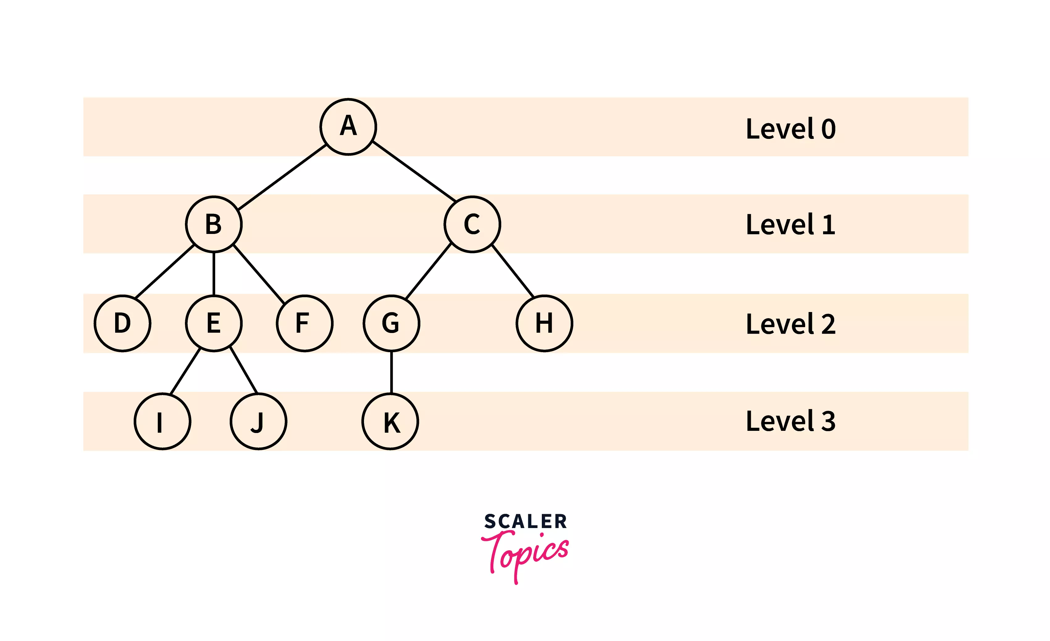 level-tree-terminology
