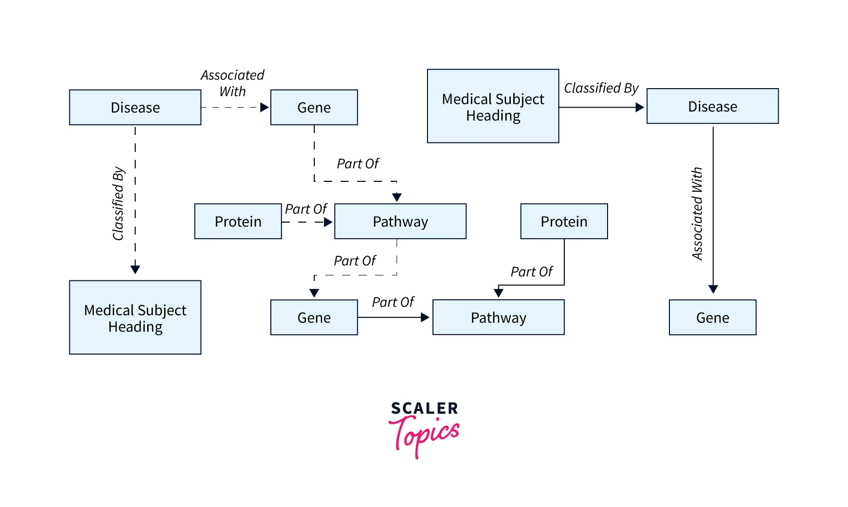 Life Sciences