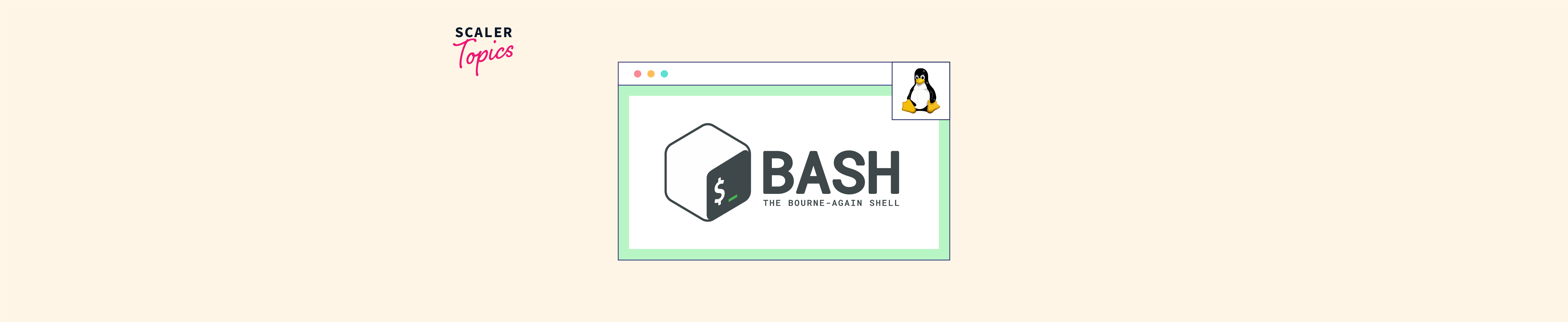 what-is-bash-bourne-again-shell-in-linux-scaler-topics