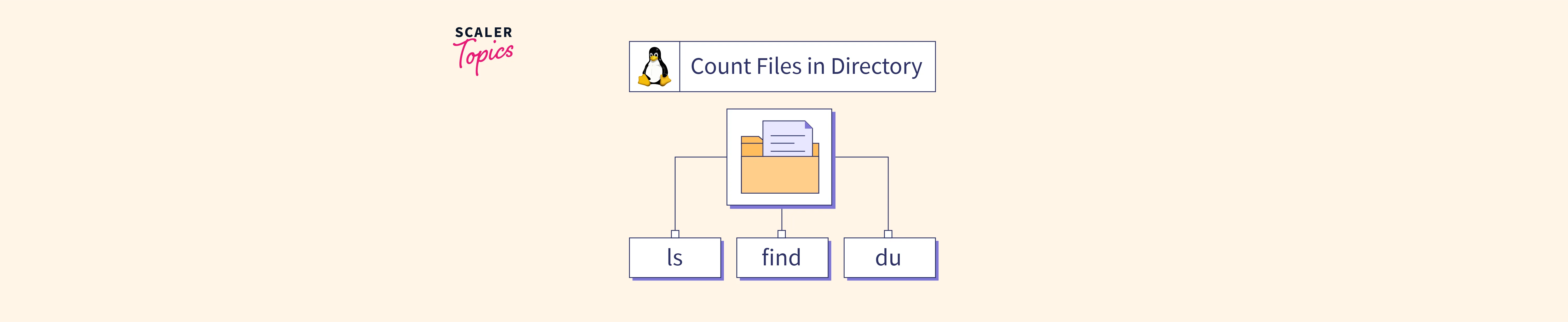 how-to-count-files-in-directory-on-linux-scaler-topics